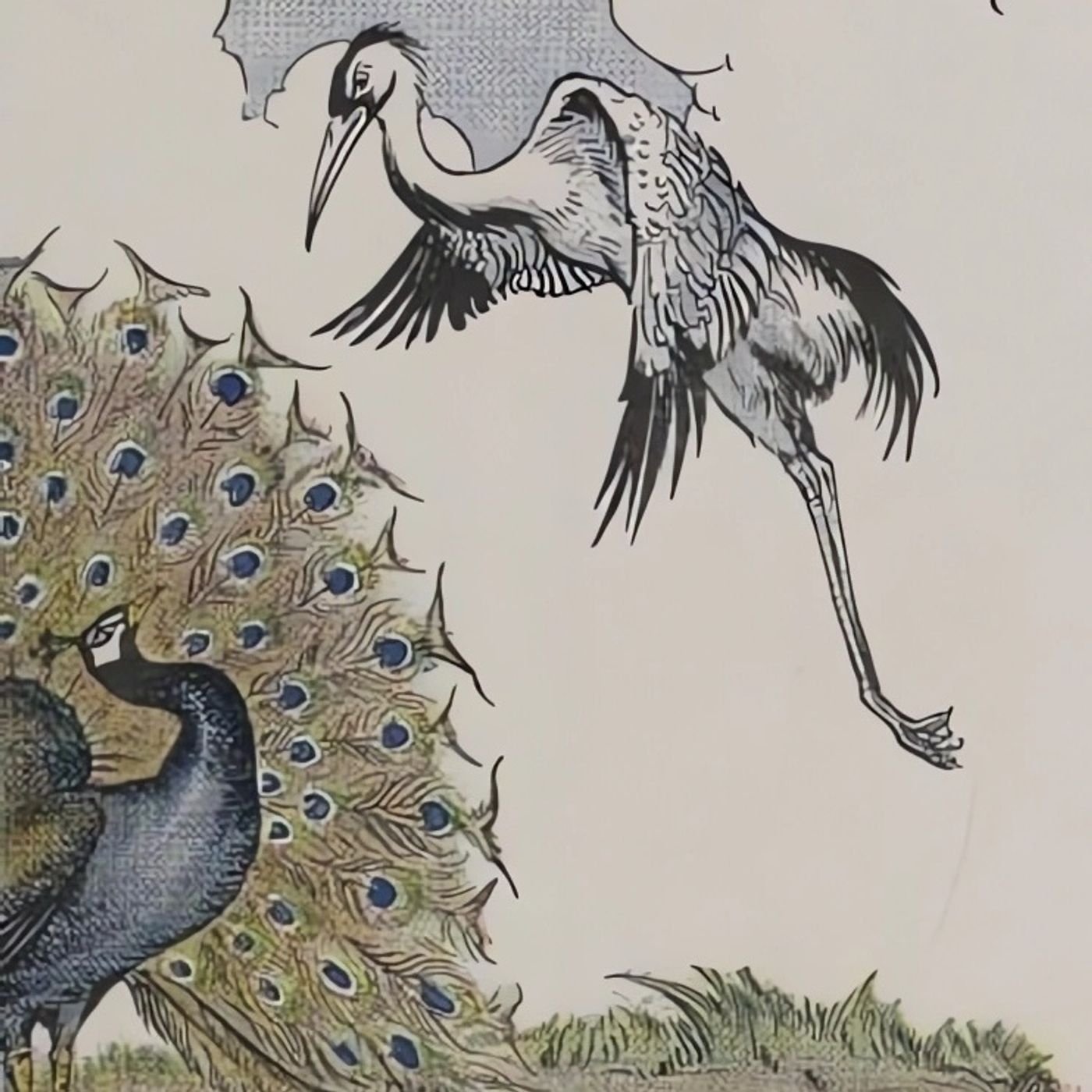 De Pauw en de Kraanvogel | Aesopus Fabels episode artwork
