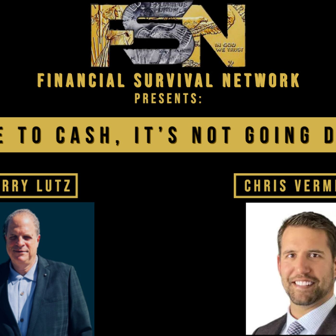 cover of episode Flee to Cash, It’s Not Going Down - Chris Vermeulen #5529