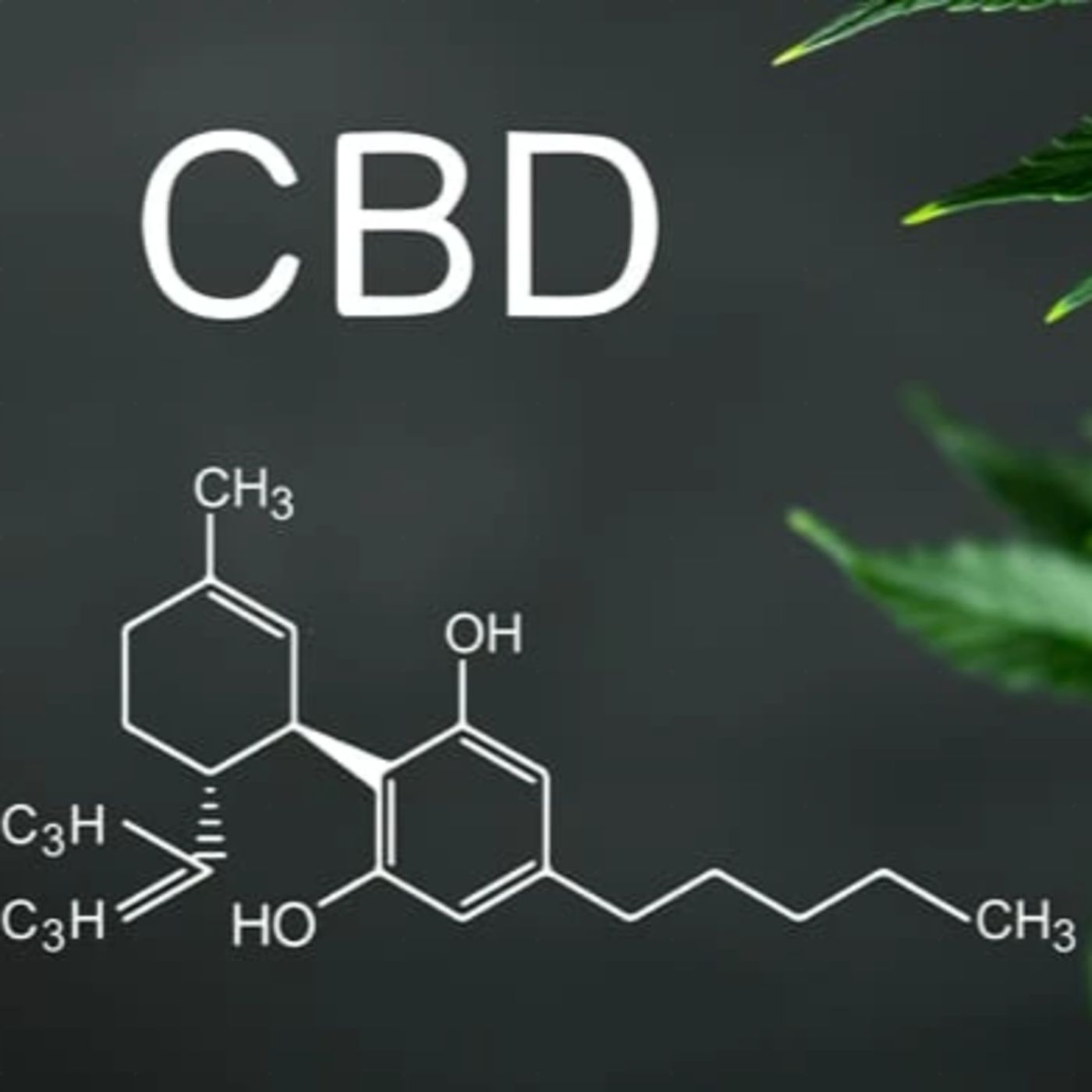 CBD στην Ελλάδα: Νομικό Πλαίσιο, ΕΟΦ και "Νέα Τρόφιμα" – Πώς Ρυθμίζεται η Αγορά της Κανναβιδιόλης; episode artwork