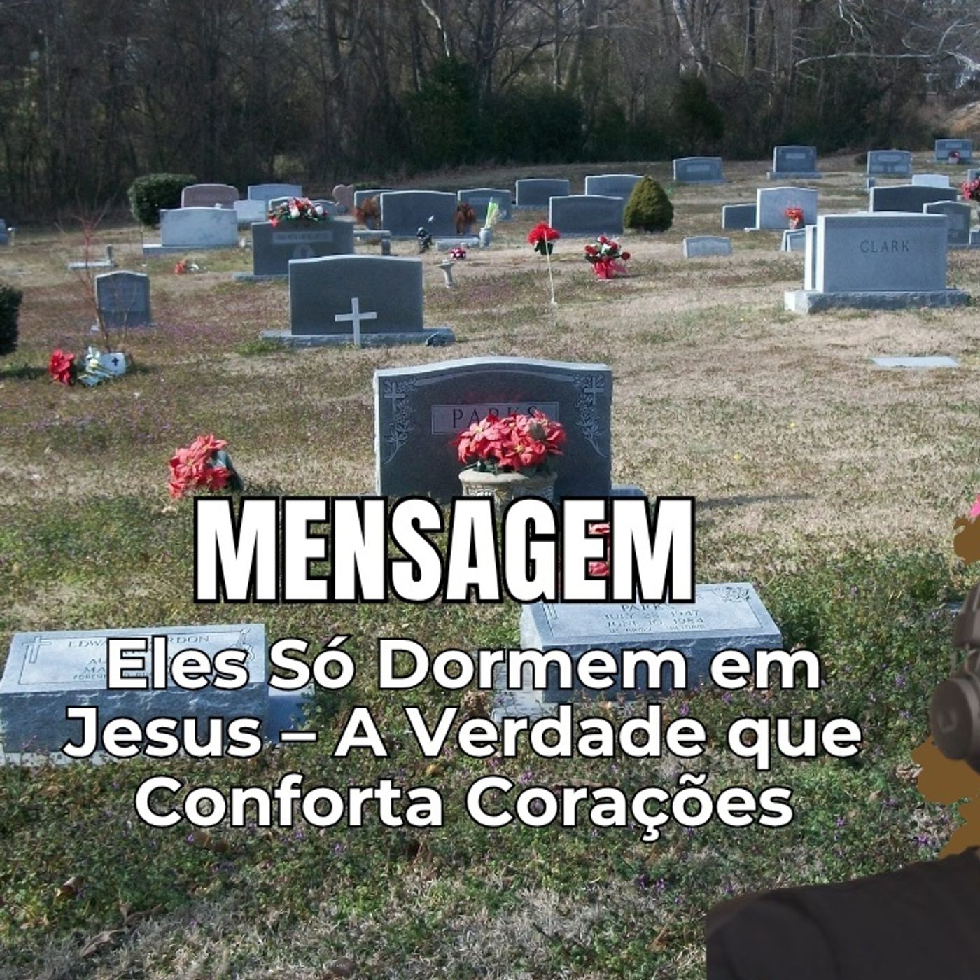 Conhecimento Da Verdade