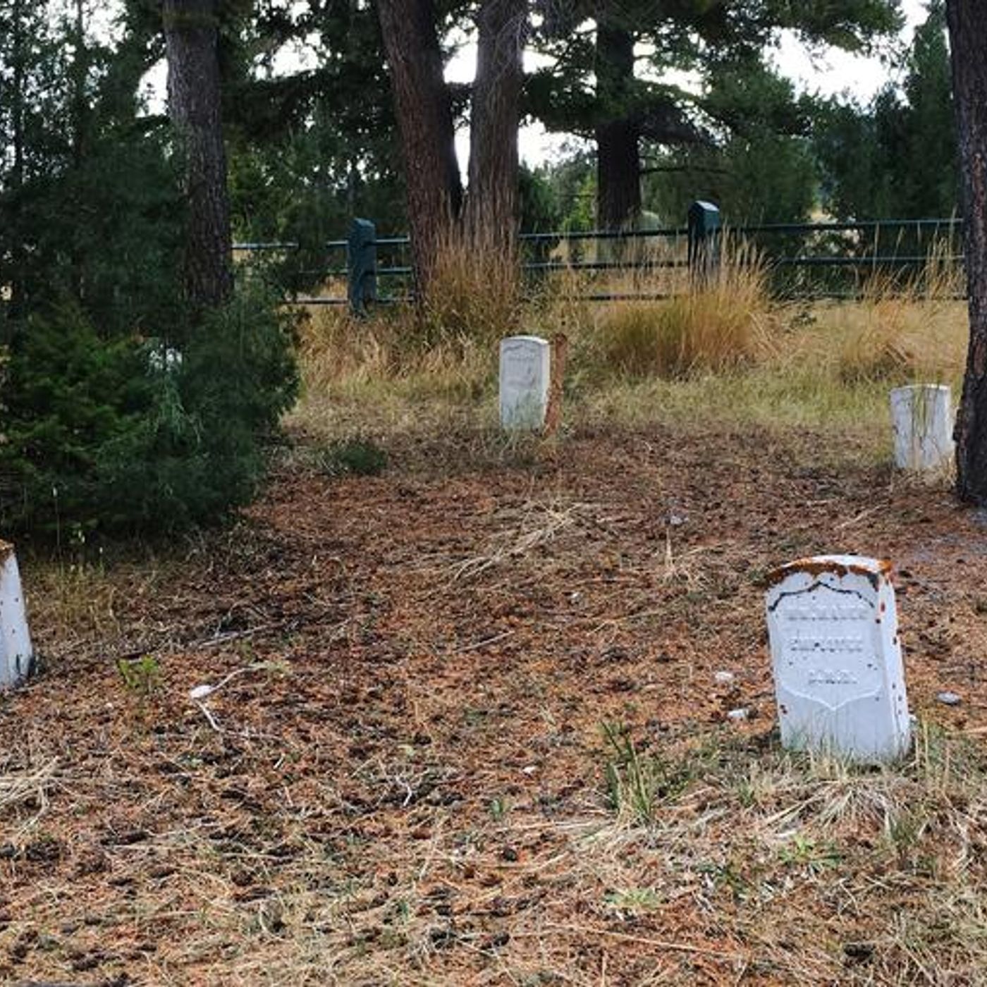 Historias de Miedo Enero 3 de 2024 EL PRIMERO DEL AÑO