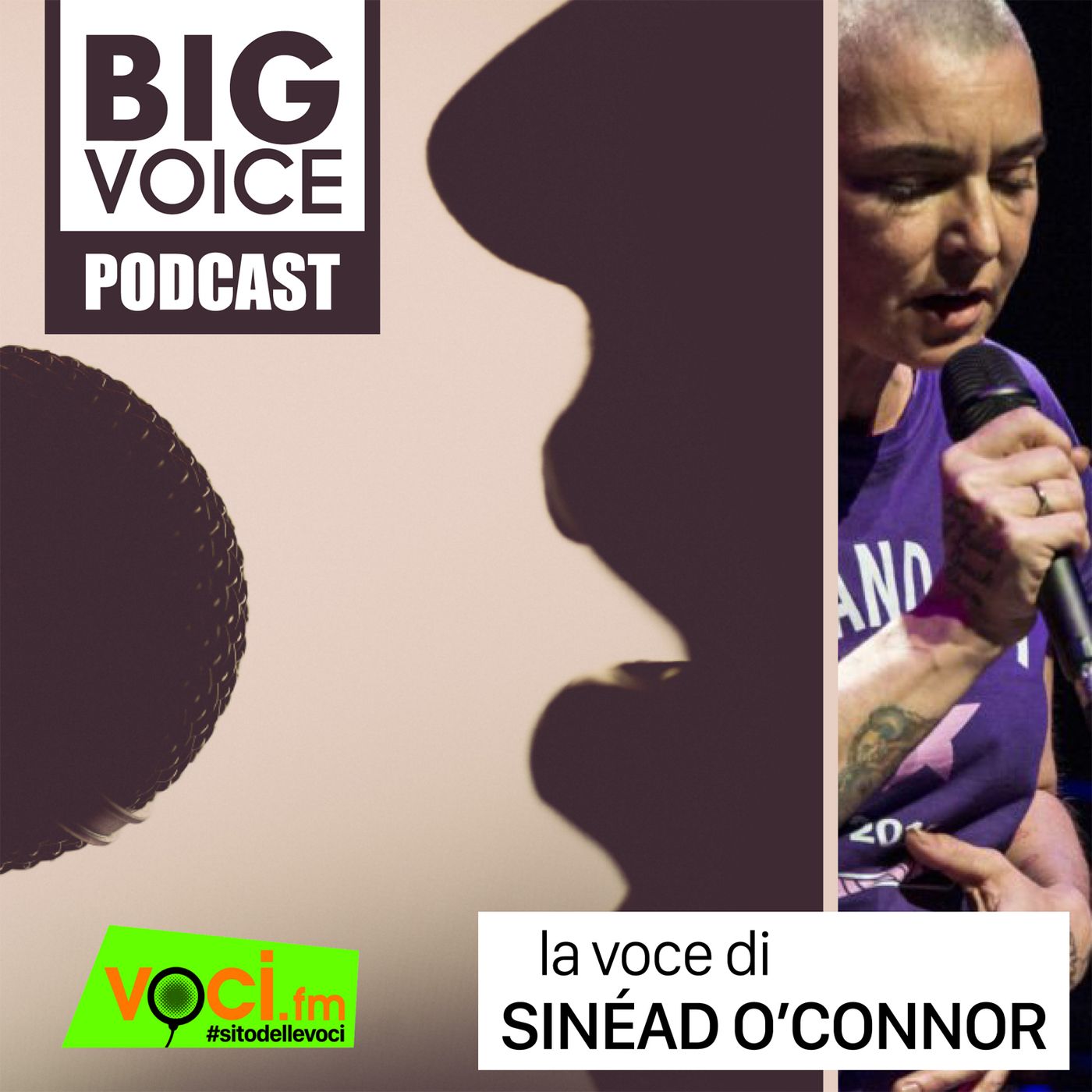 BIG VOICE PODCAST: Sinéad O'Connor - clicca play e ascolta il podcast episode artwork