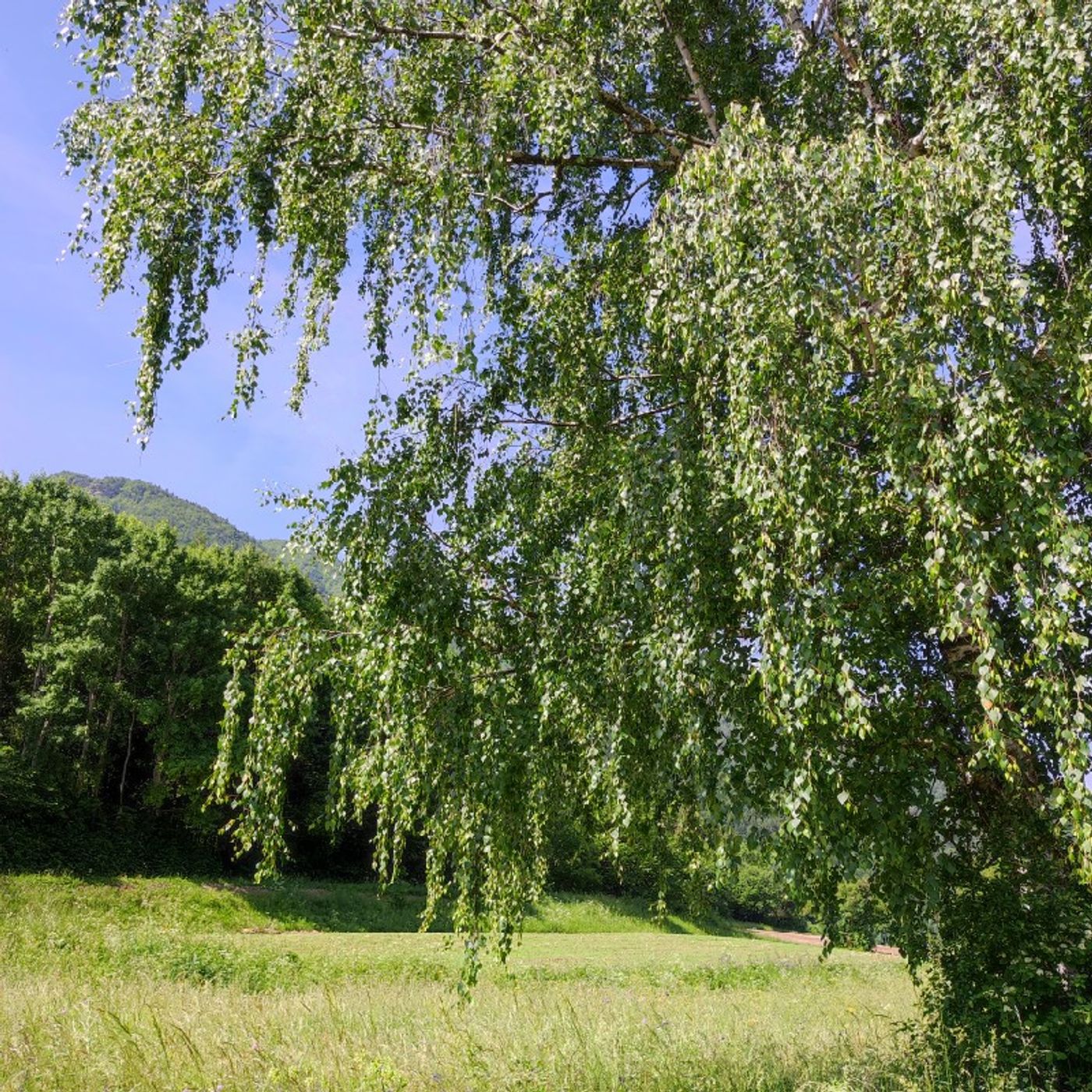 Episodio 368 - ETF + BitCoin = Crypto FIRE