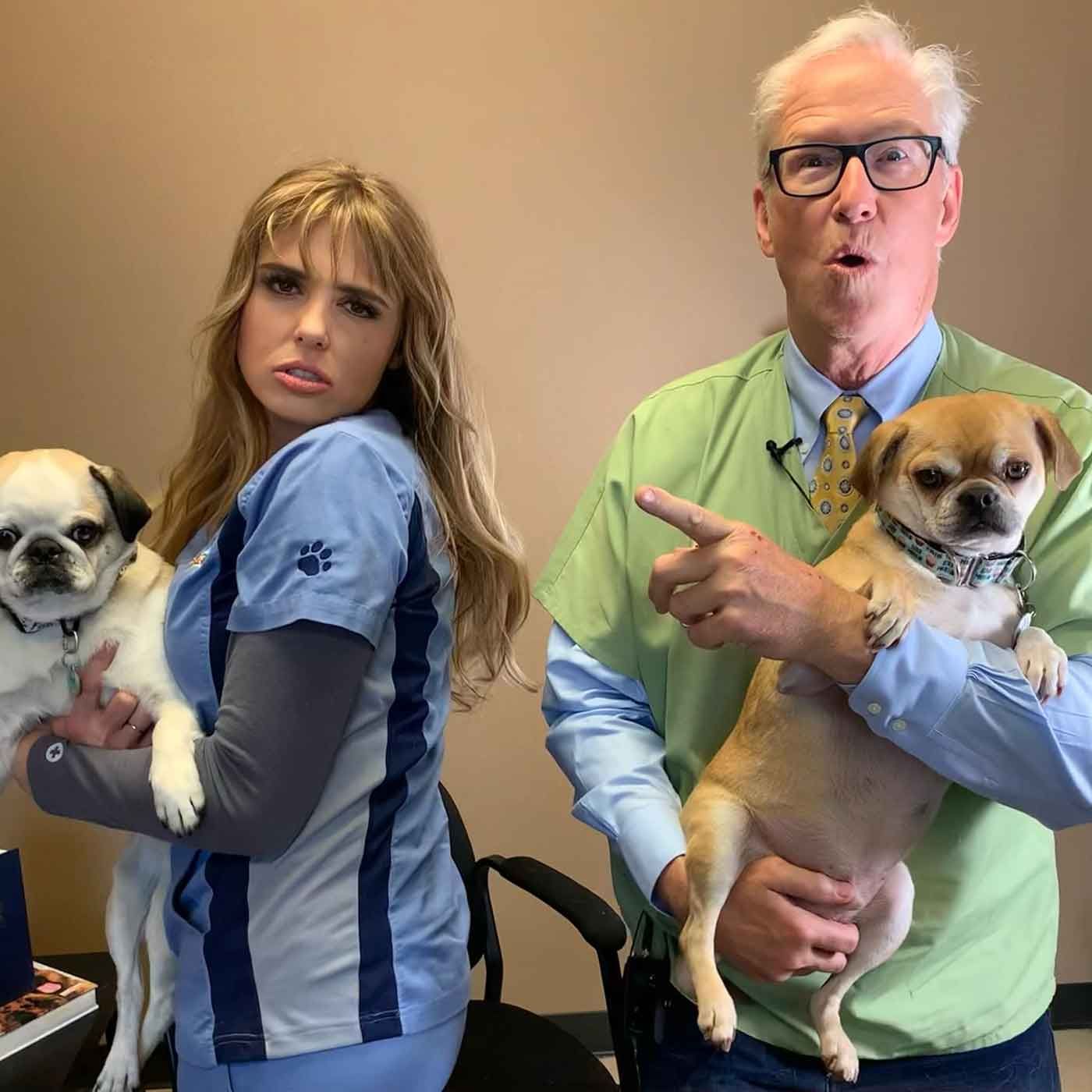 Is Pet Insurance Worth It? - Saving $$ Without Short-Changing Your Pet Is Pet Insurance Worth It? - Saving $$ Without Short-Changing Your Pet