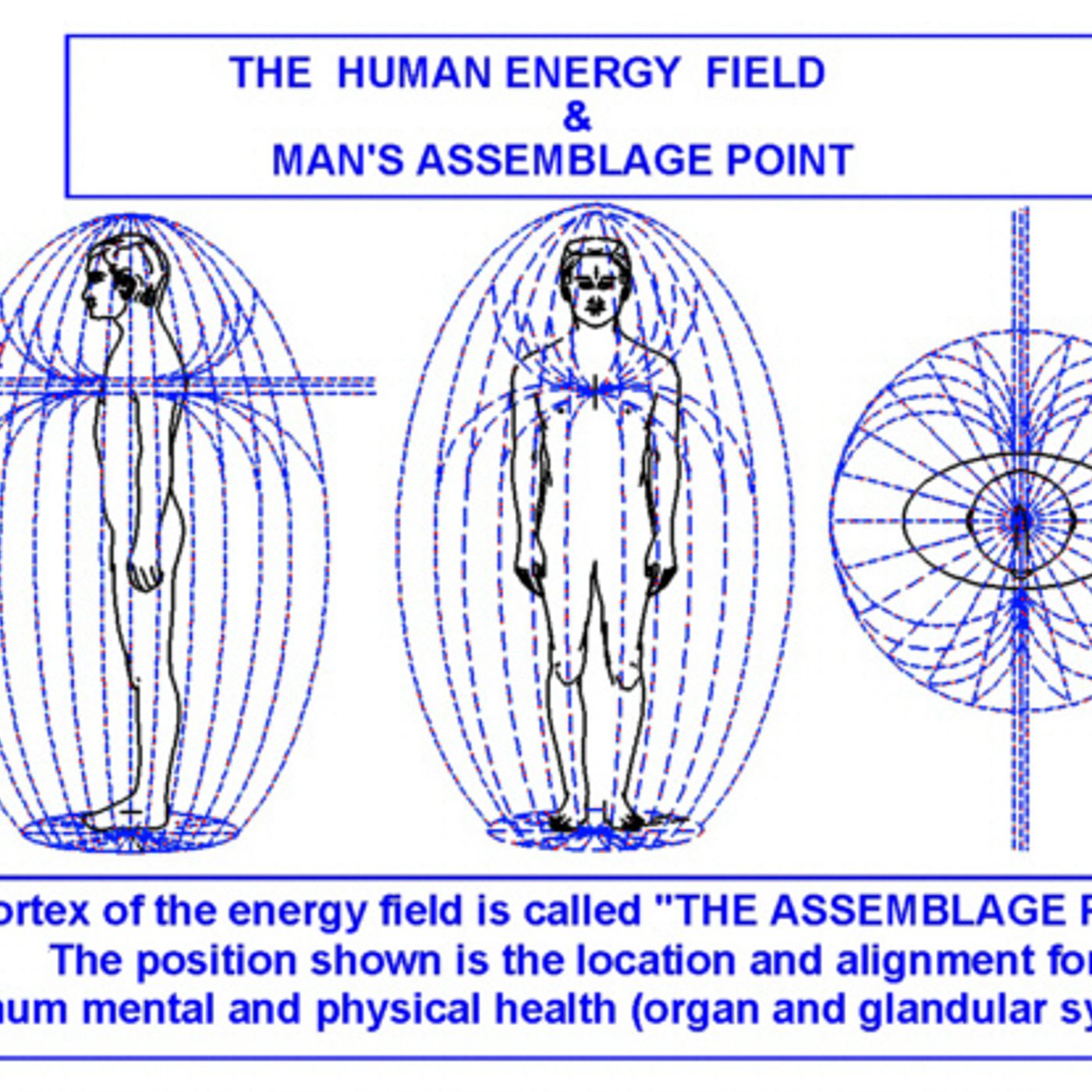 #131 Ocupa tu lugar en el Fractal del Universo, activa tu Consciencia Diamantina