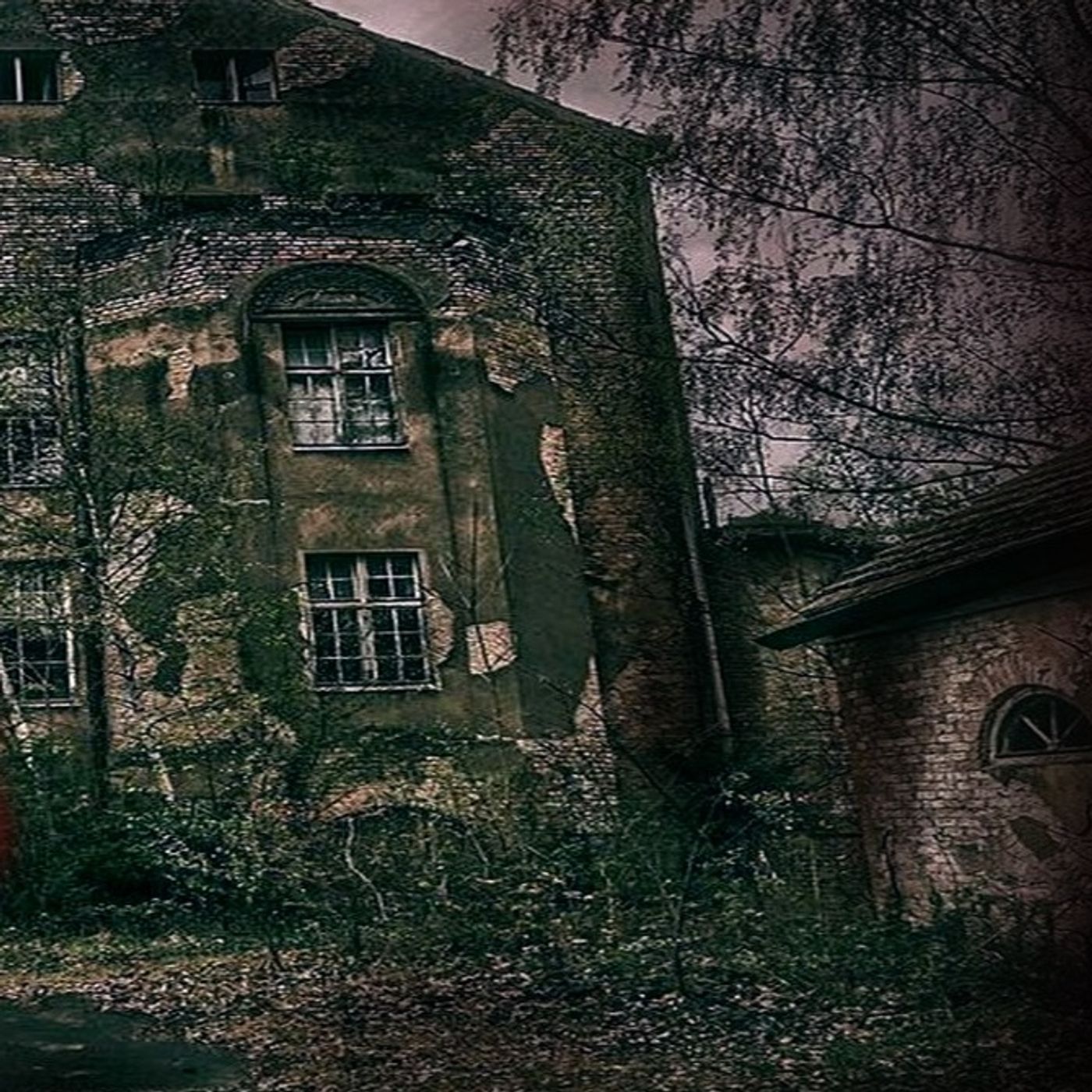 La Casa Maldita De Pénjamo Historias De Terror - REDE