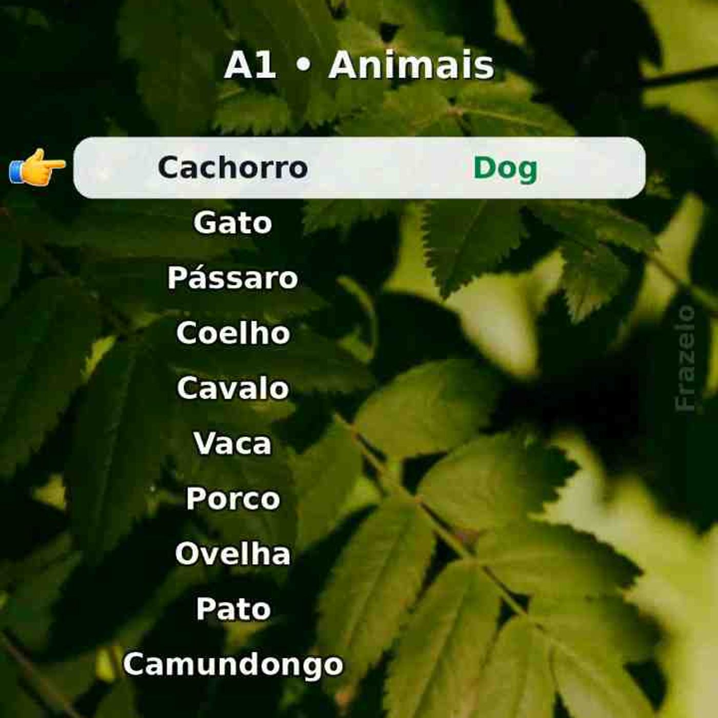 Salve e repita em voz alta_ animais.