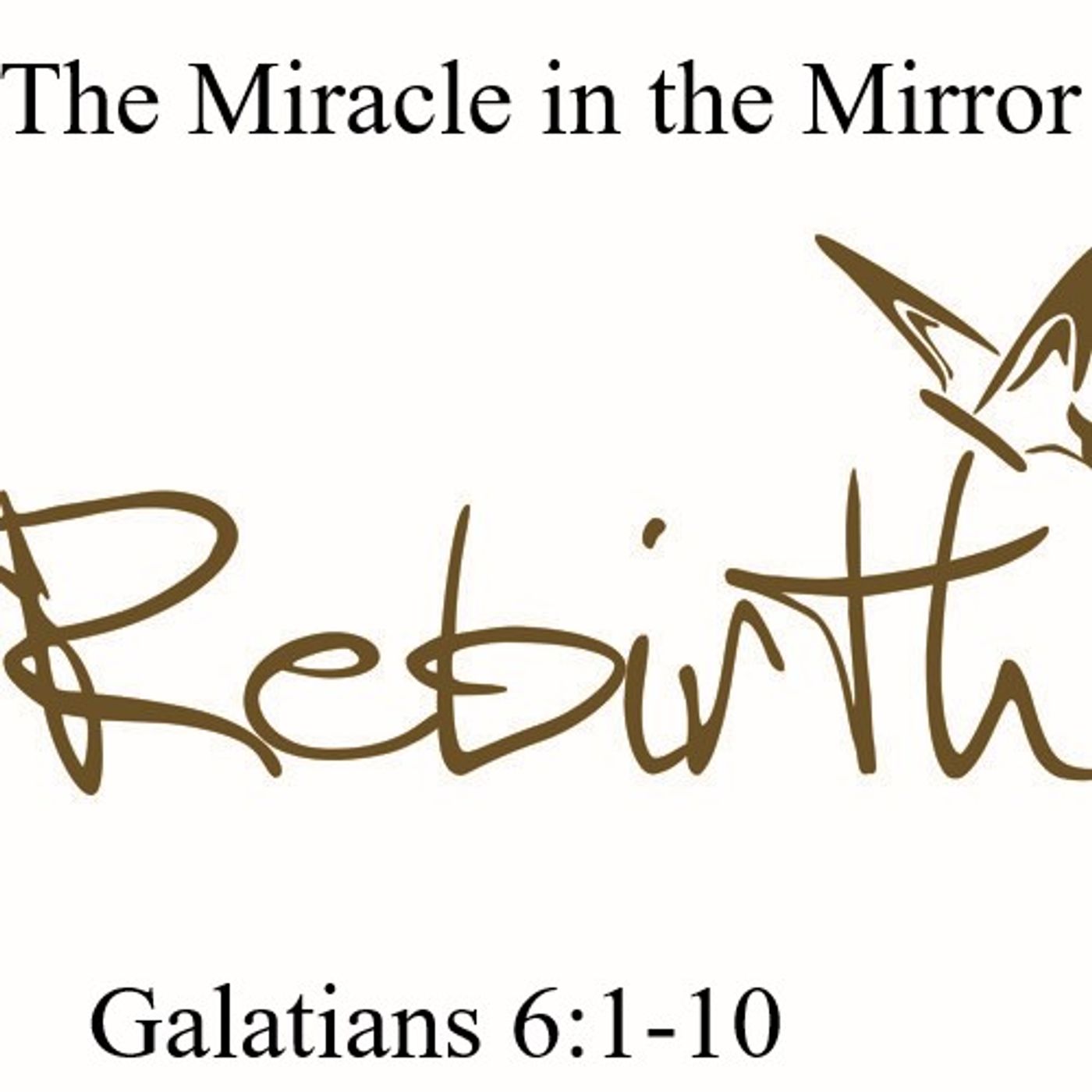 New ReBirth { Miracle in the Mirror episode artwork