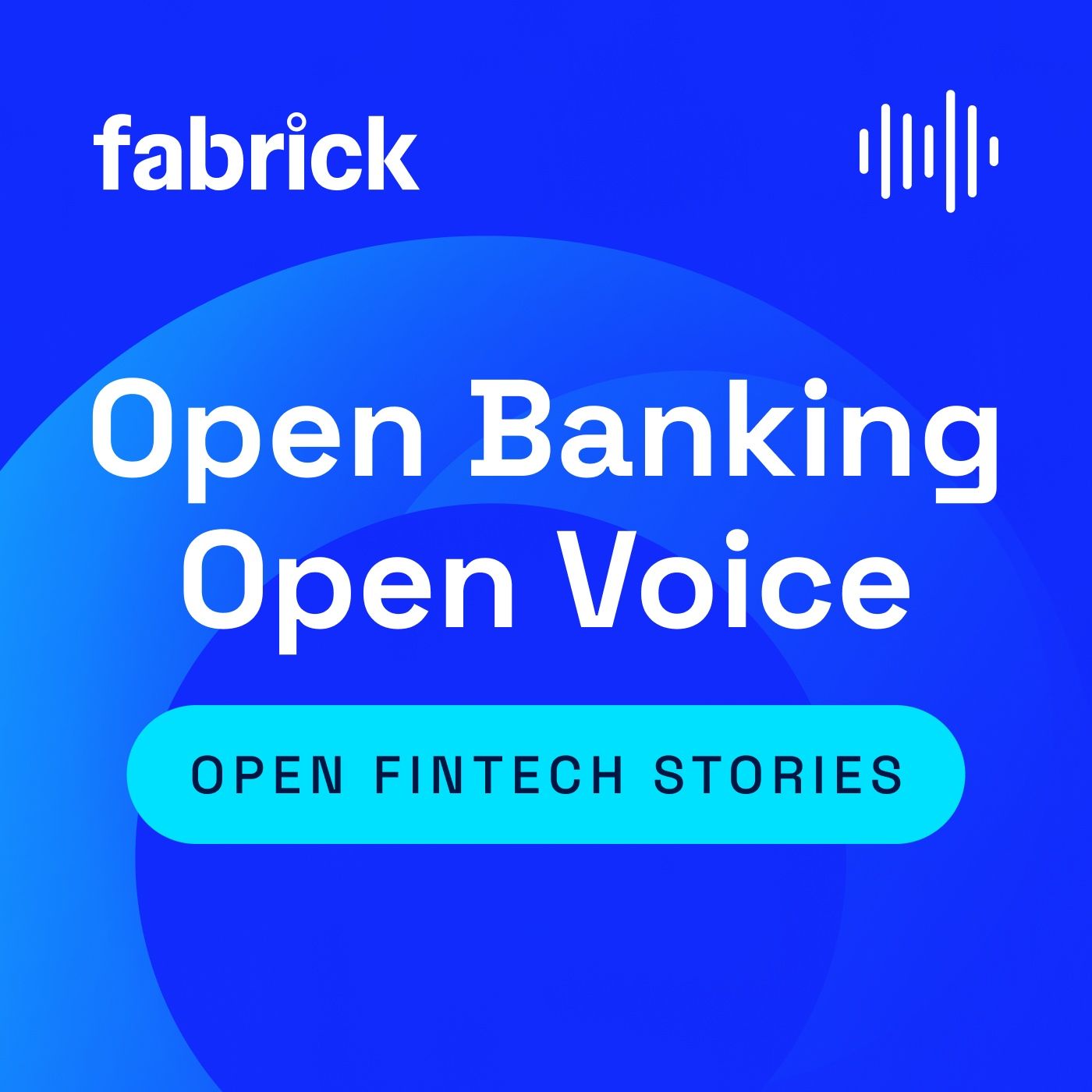 Open Fintech stories
