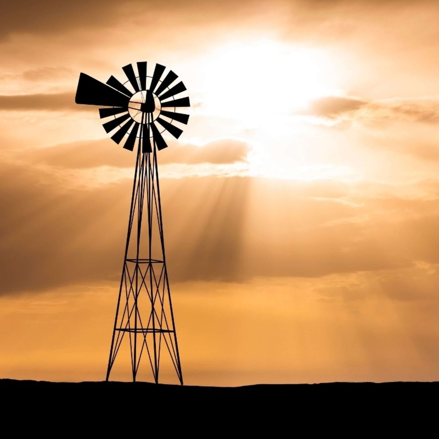 Environment and Climate News Podcast