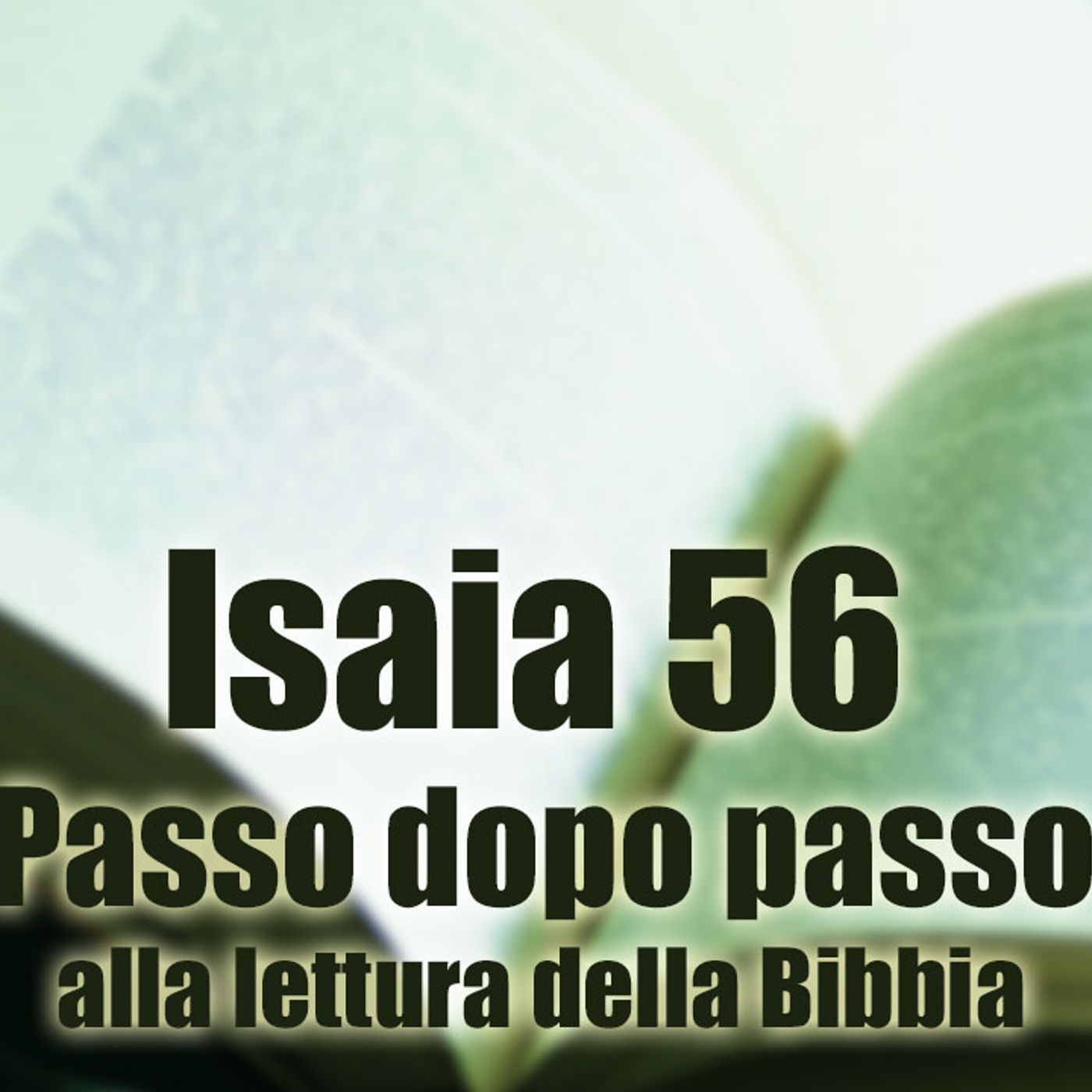 Passo dopo passo alla lettura della Bibbia