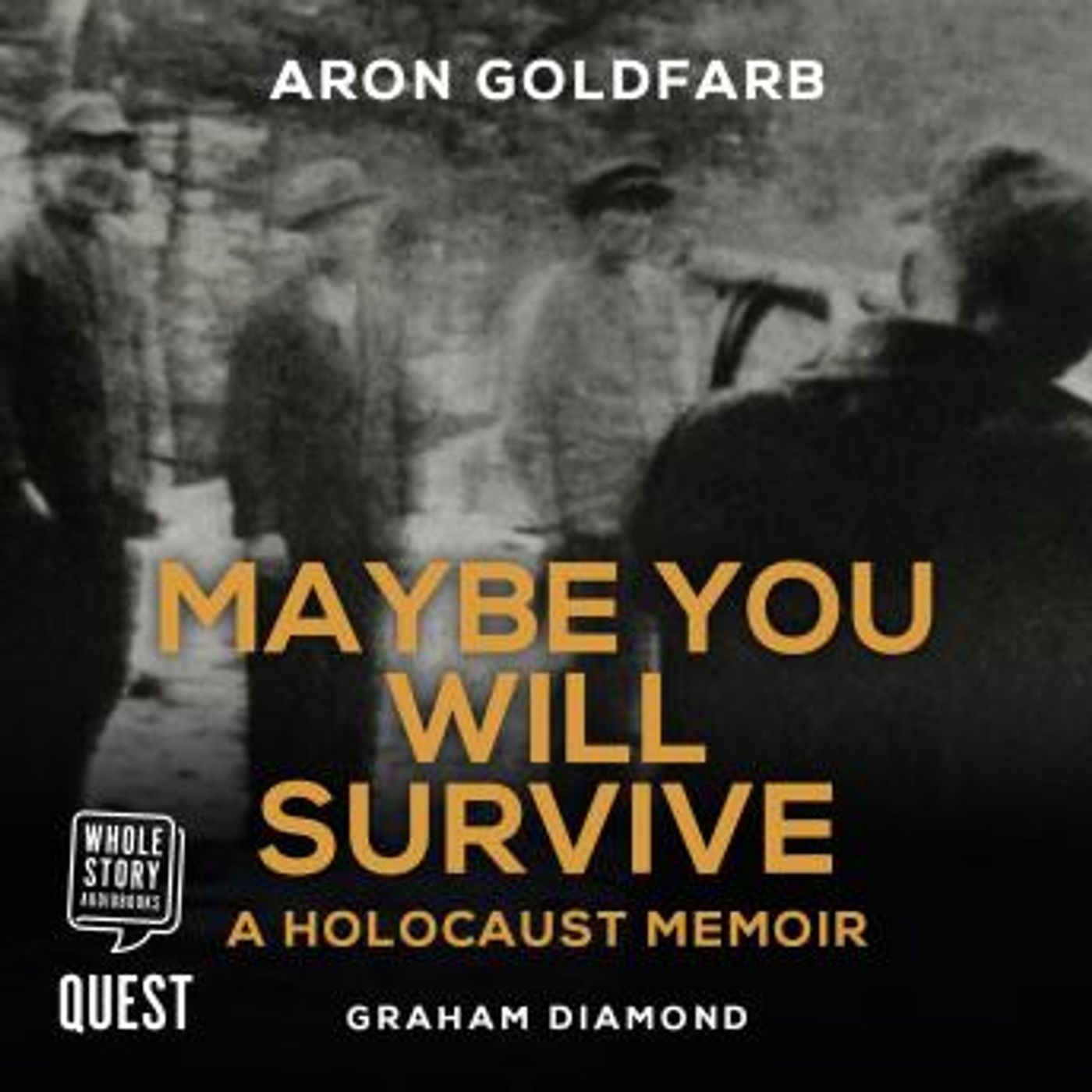 Maybe You Will Survive: A Holocaust Memoir by Aron Goldfarb, Graham Diamond episode artwork