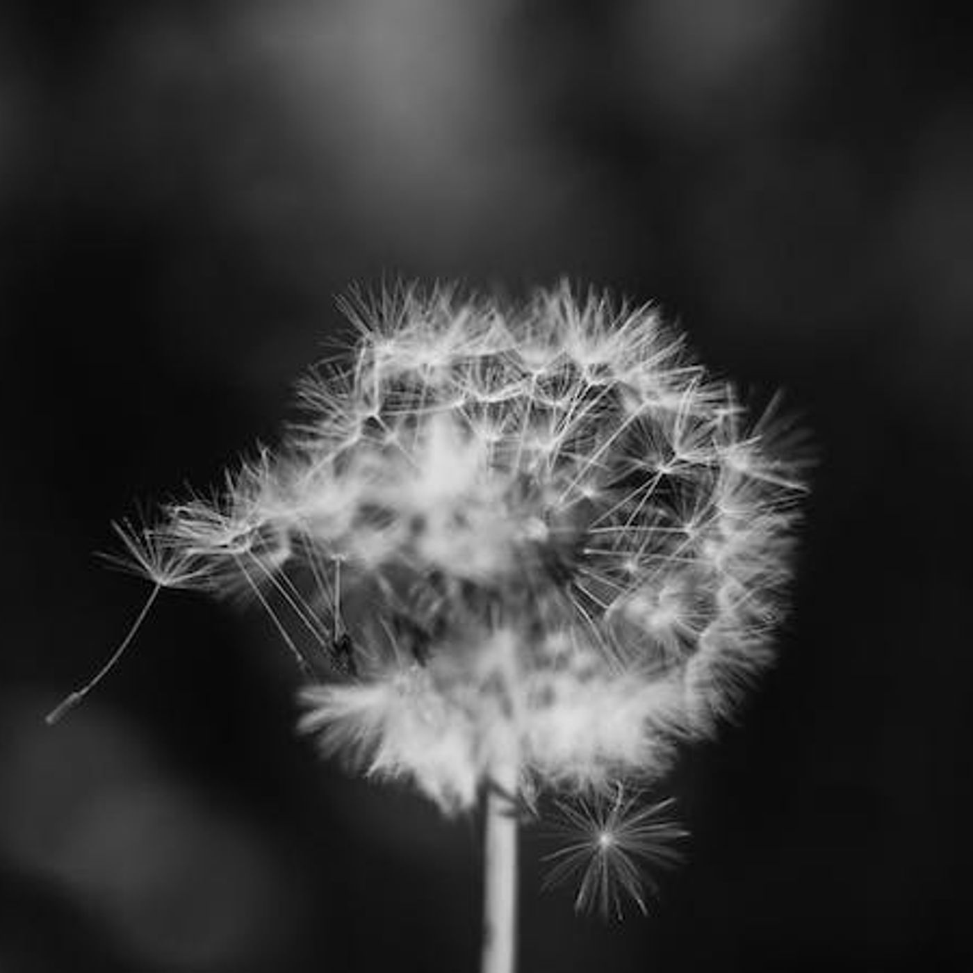 Where Is Providence in the Vanity of Ecclesiastes?