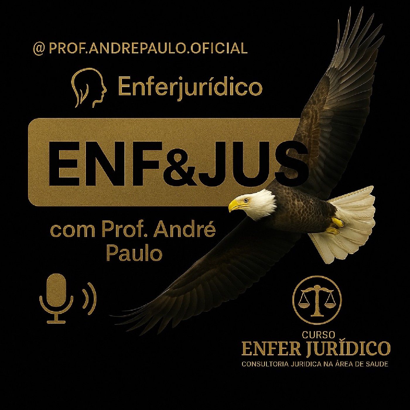 Episódio 121 - LEI N⁰ 8.429/92 - LEI DE IMPROBIDADE ADMINISTRATIVA II