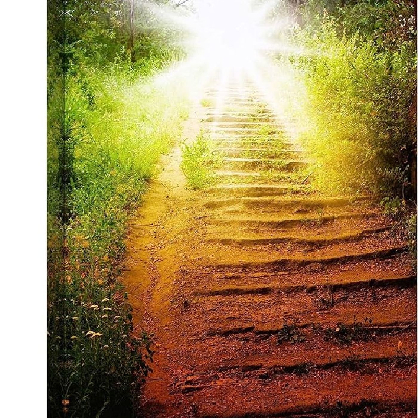 Cristo, Camino, Verdad y Vida episode artwork
