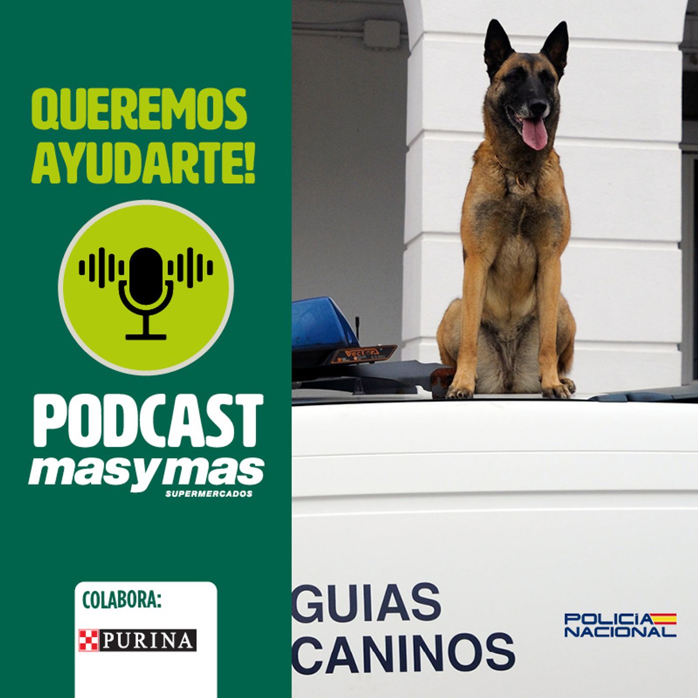 El trabajo de los guías caninos con Policía Nacional episode artwork