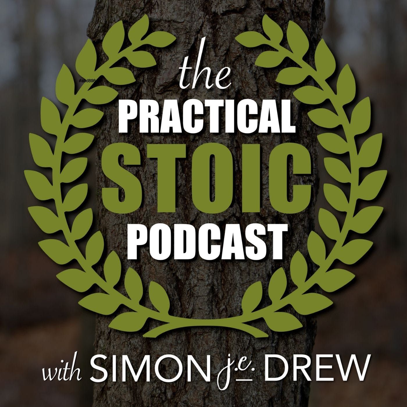 The Practical Stoic