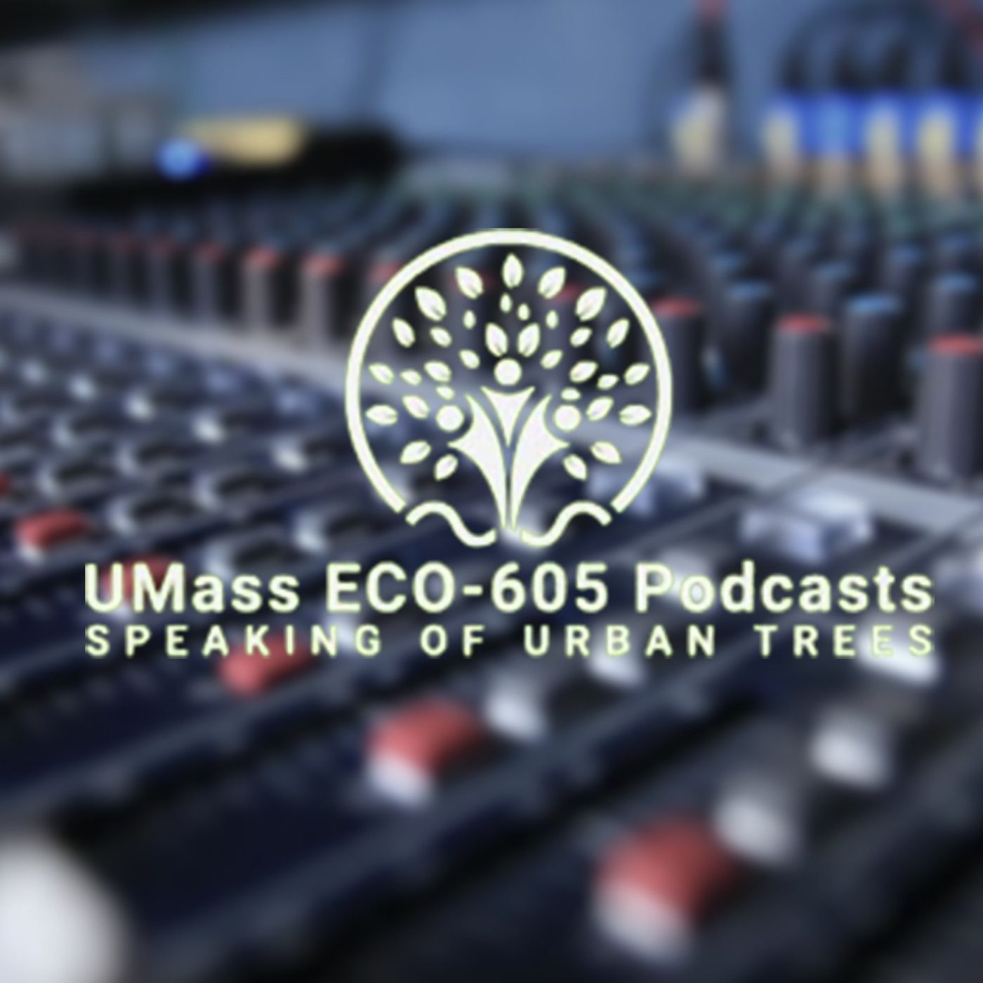 Urban Forestry Forum – UMass ECO 605
