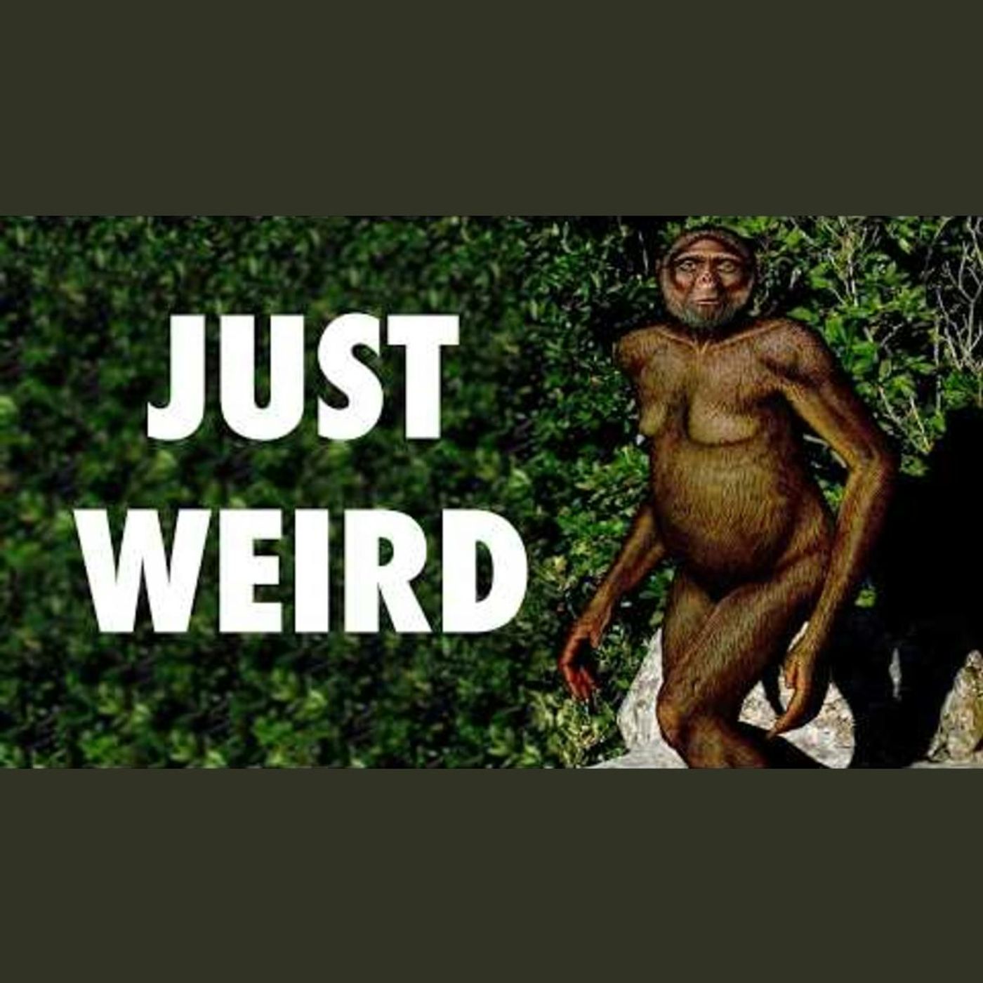 The Strangest Human Ancestor You've Never Heard Of episode artwork