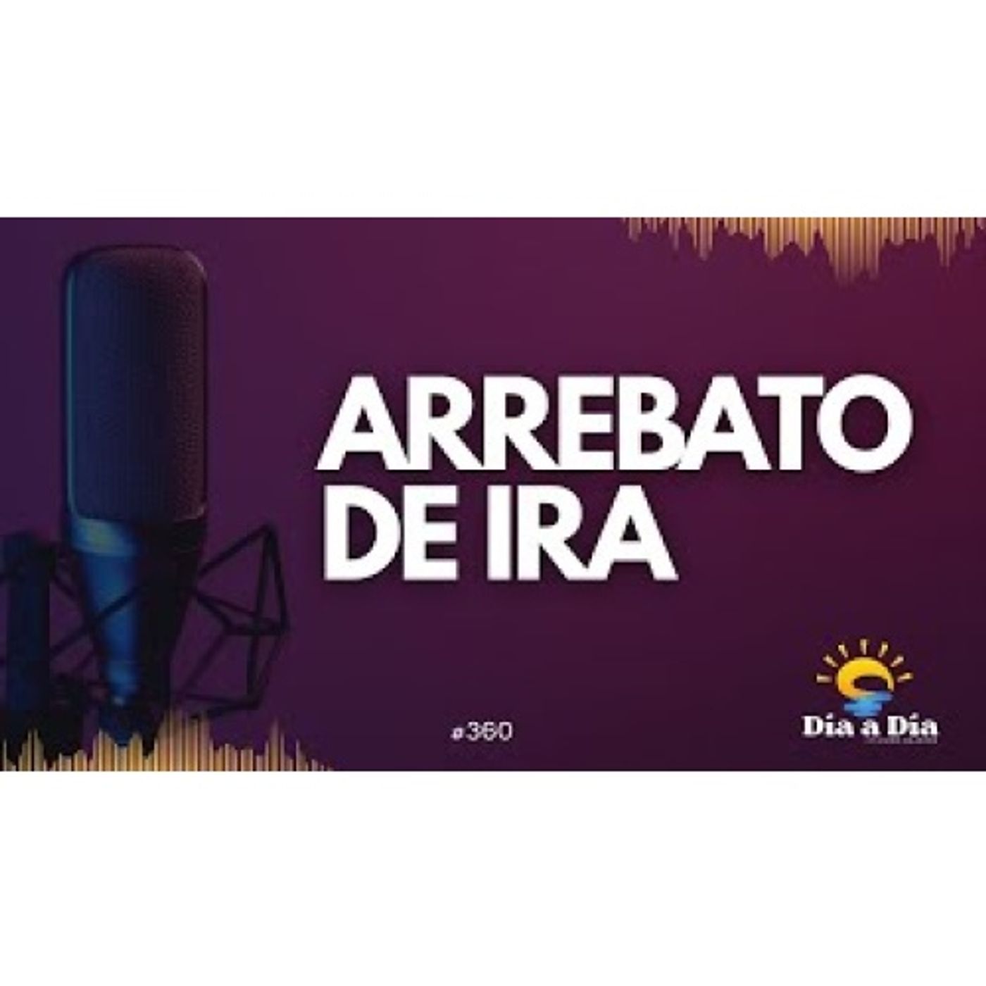 Arrebato de ira - Día a día 360 episode artwork