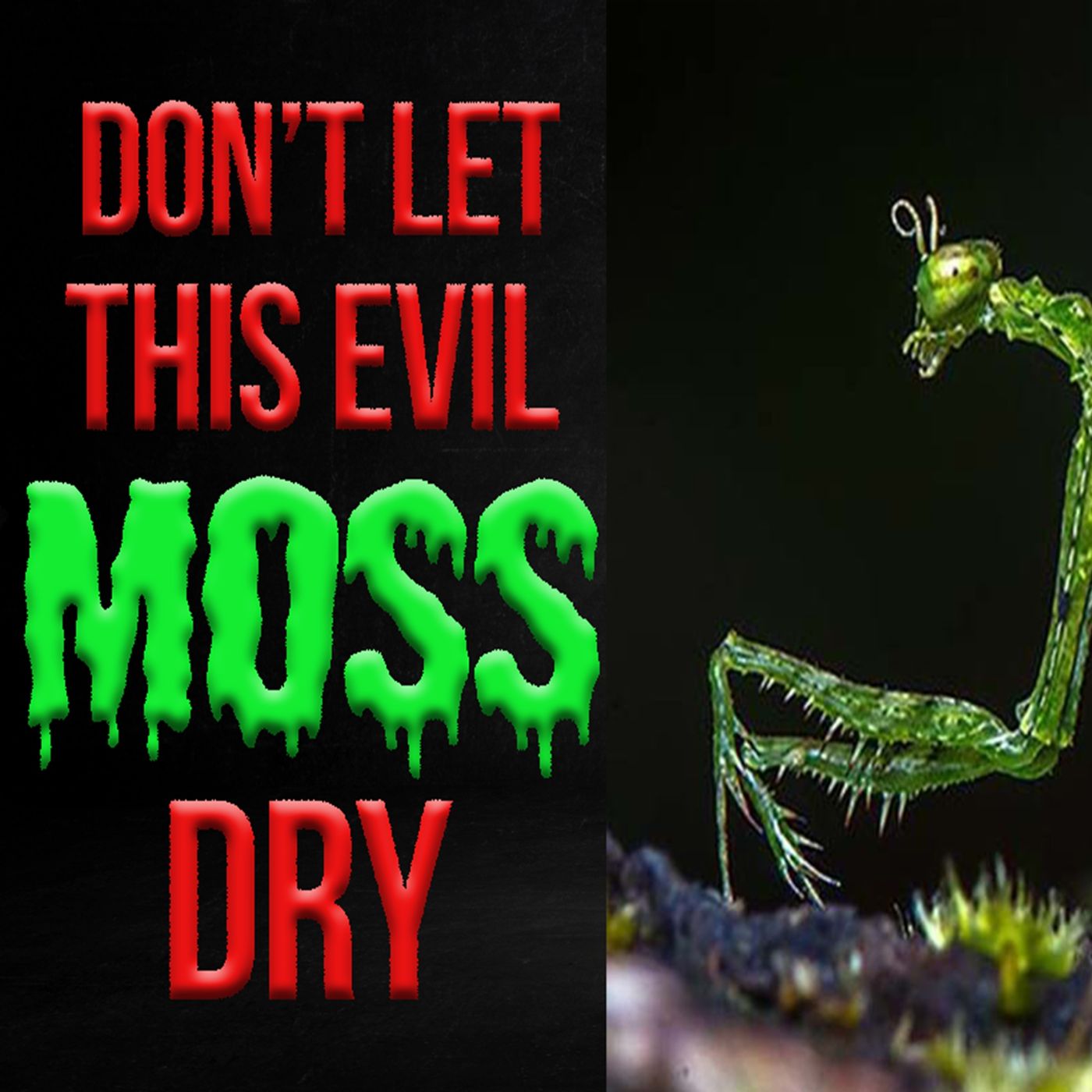 An Evil Moss Crept Into His Life