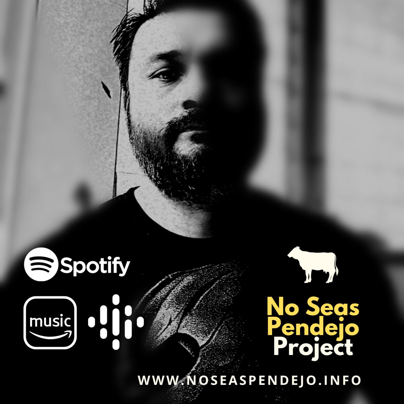 No Seas Pendejo Project
