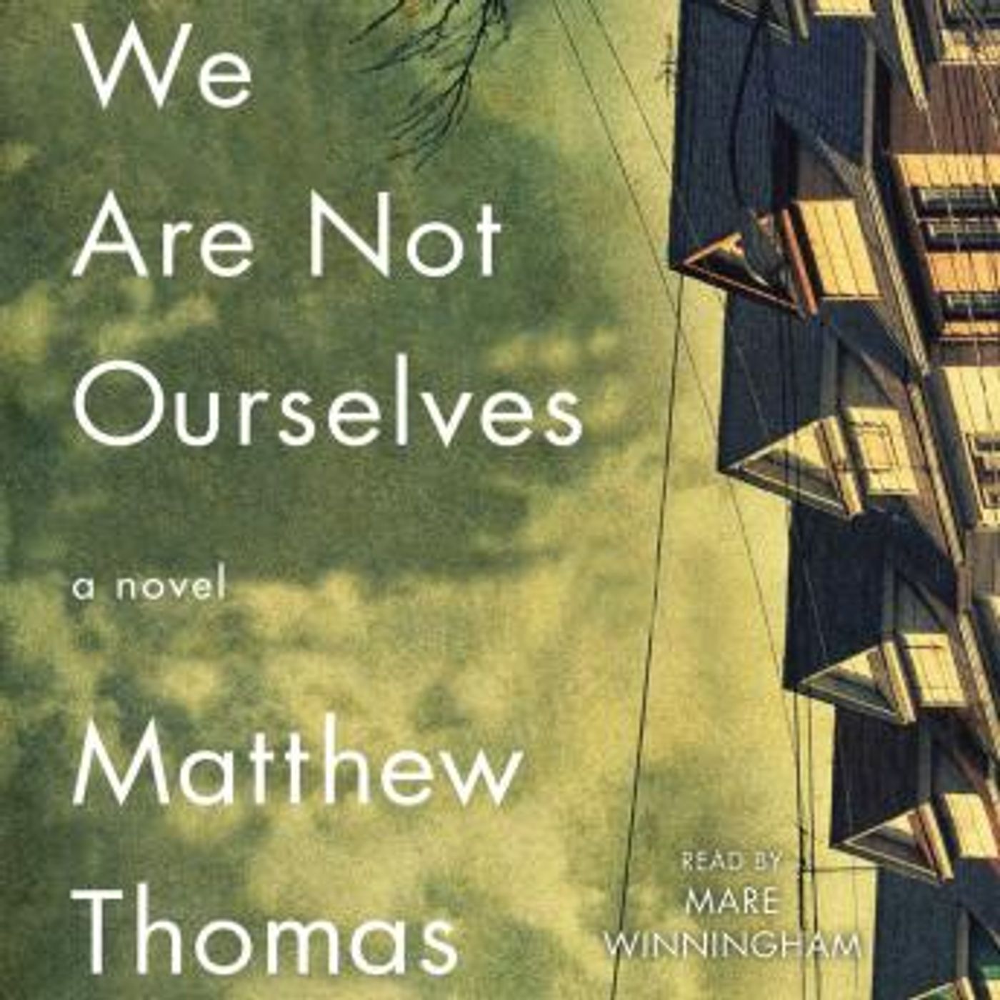 We Are Not Ourselves: A Novel by Matthew Thomas episode artwork
