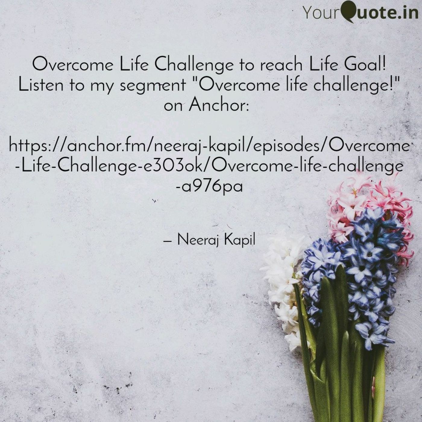 Neeraj Kapil - \
