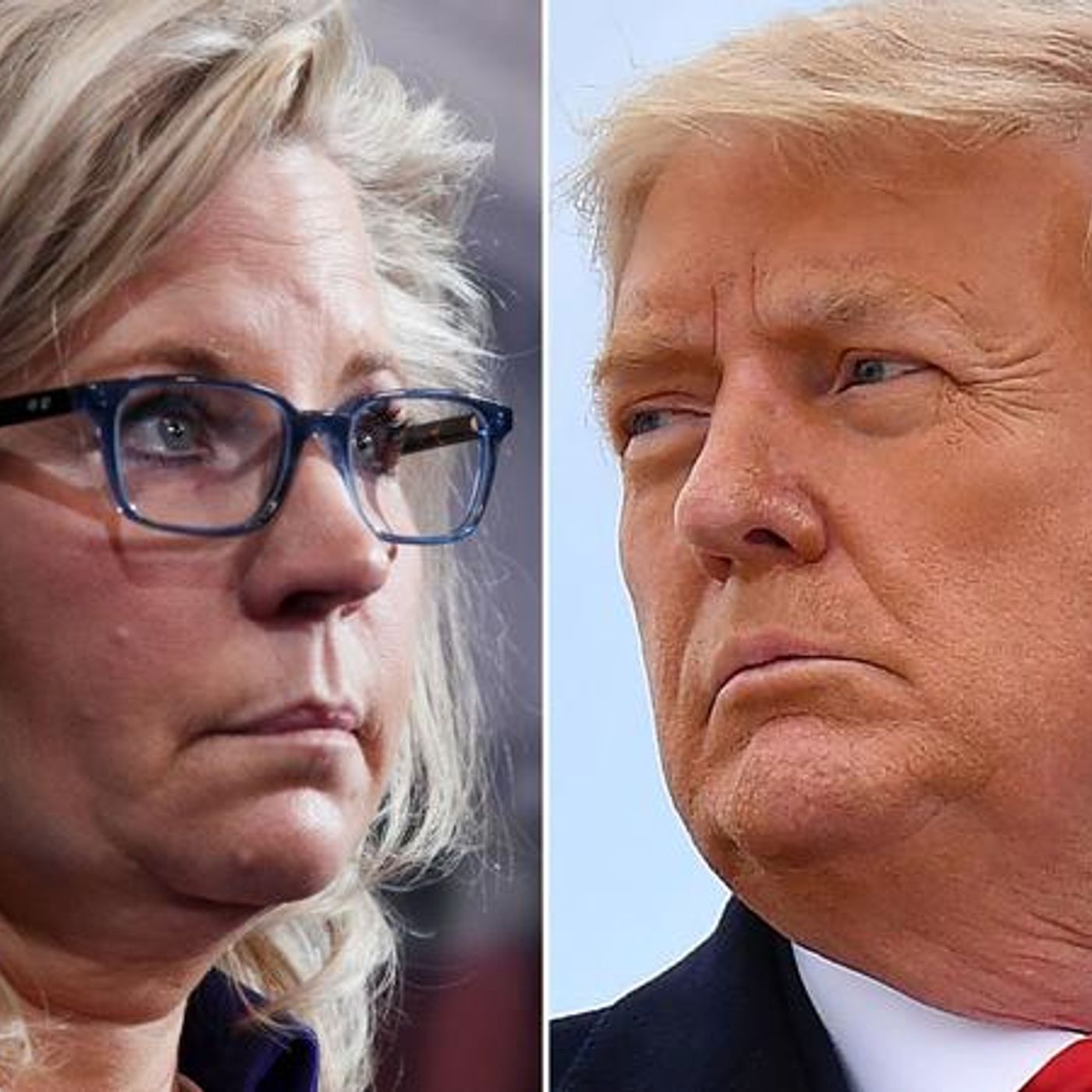 Rep Liz Cheney was removed by cowardly GOP as she refused to support the big lie episode artwork