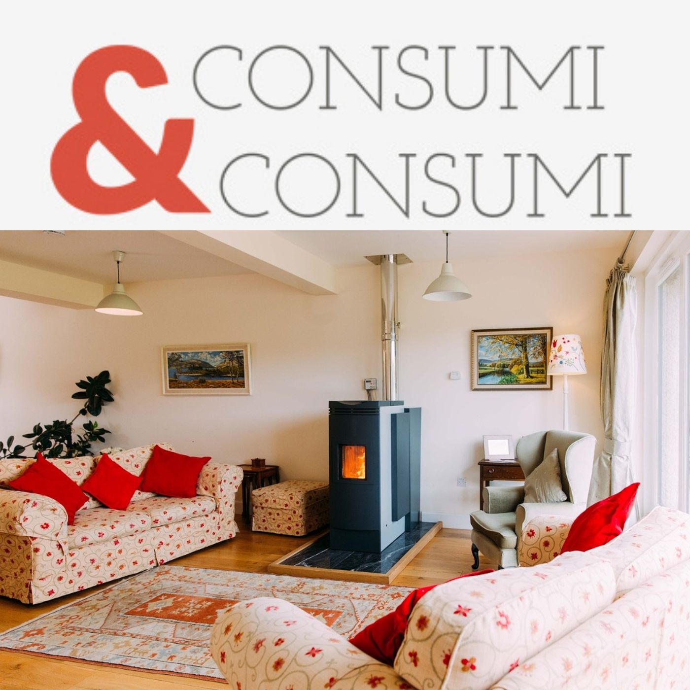 Consumi&Consumi
