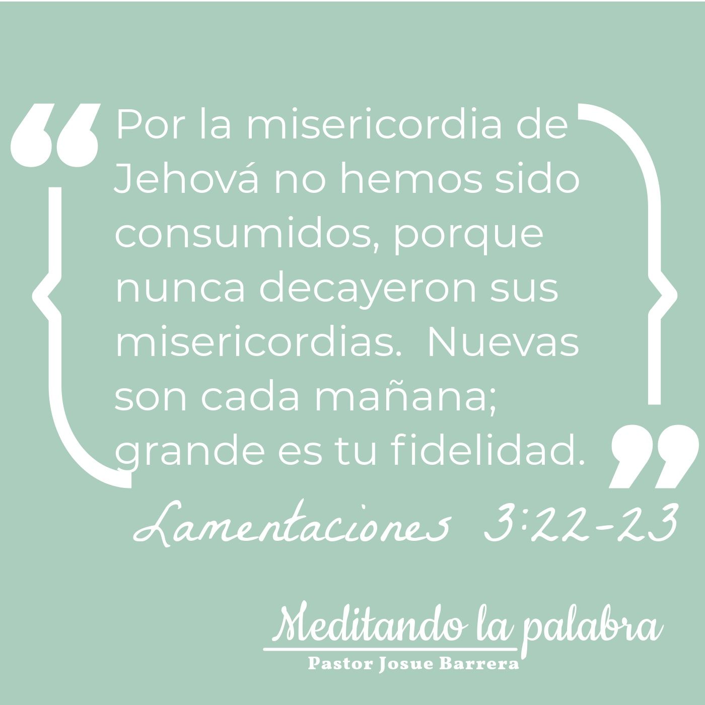 Meditando la palabra