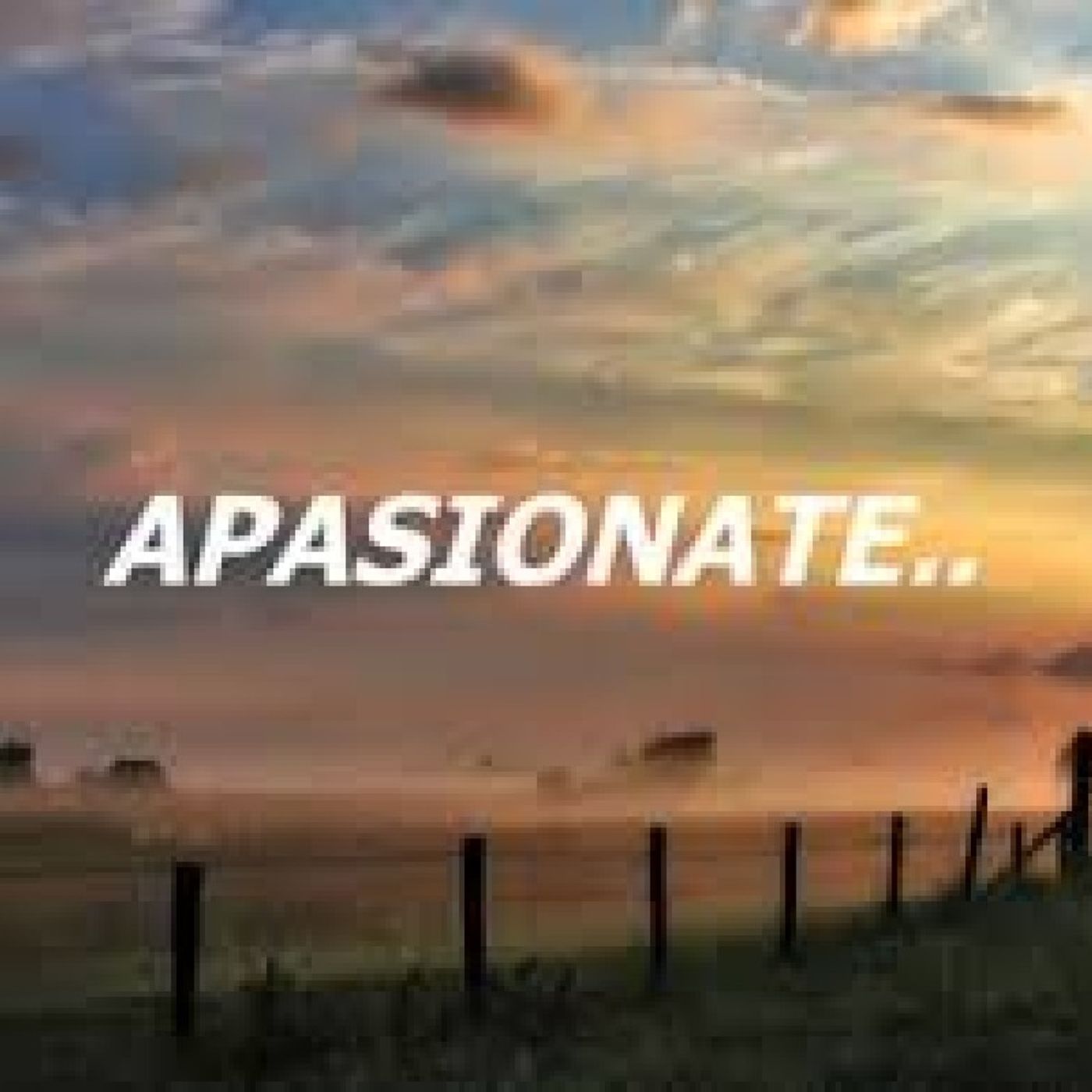 Apasionate episode artwork