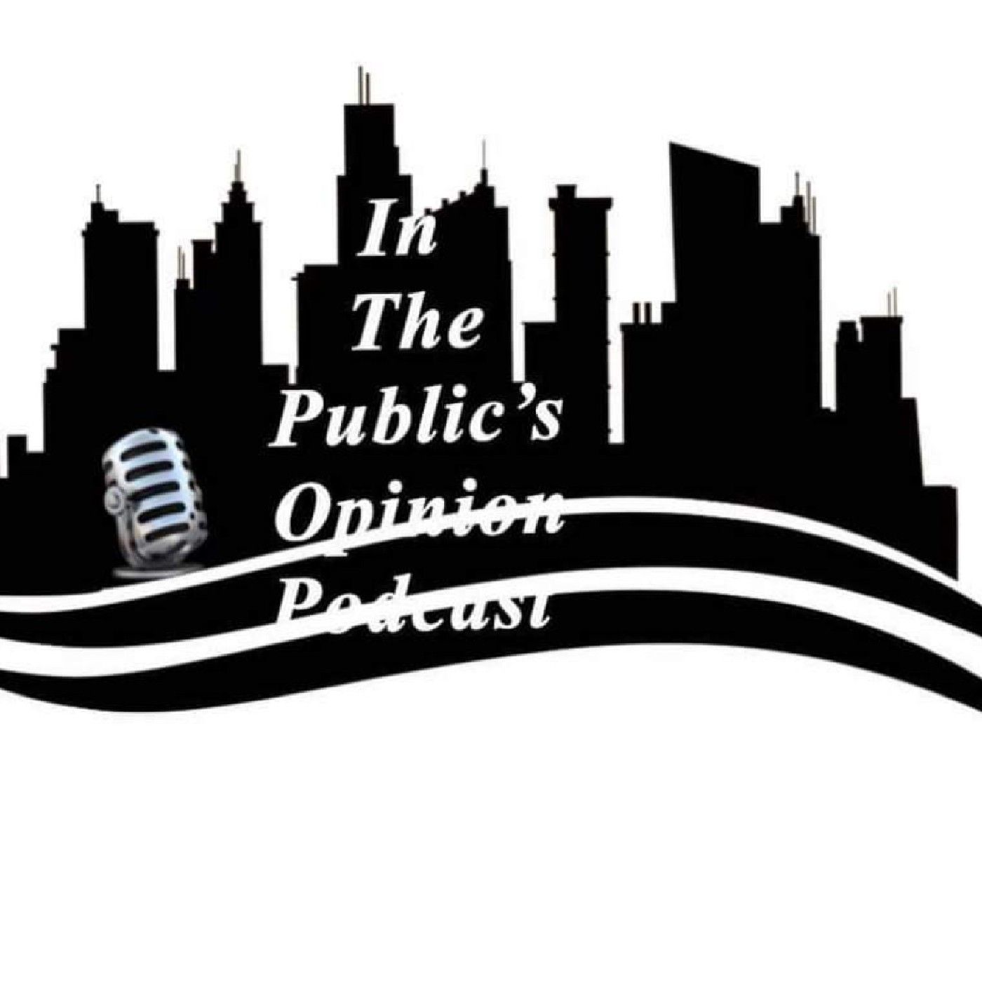 in the public's opinion podcast cover art