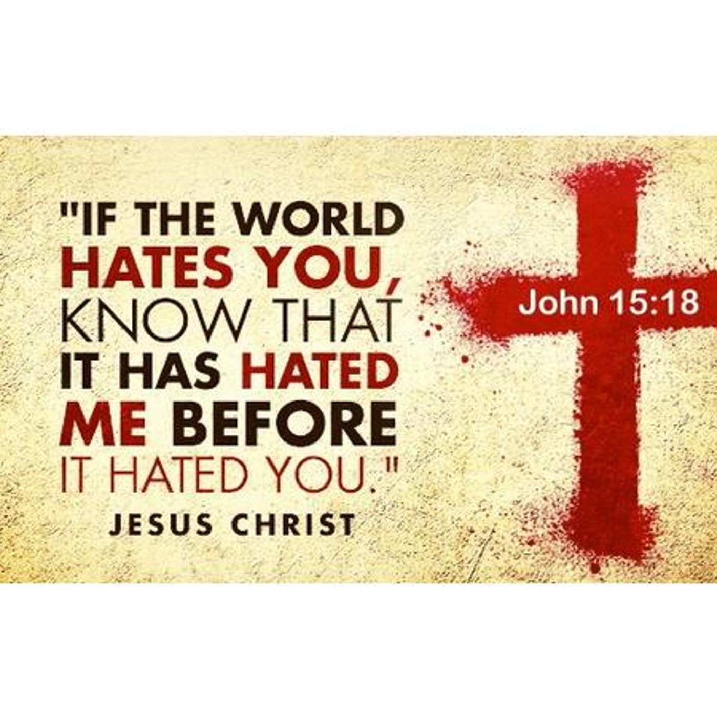 "THE GOSPEL JESUS"  The Church What the Bible God's Word episode artwork