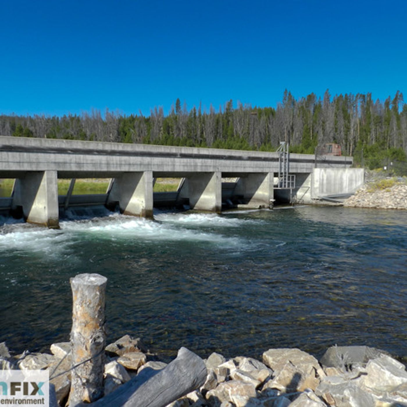 Idaho Sockeye Salmon Count Beats Expectations episode artwork
