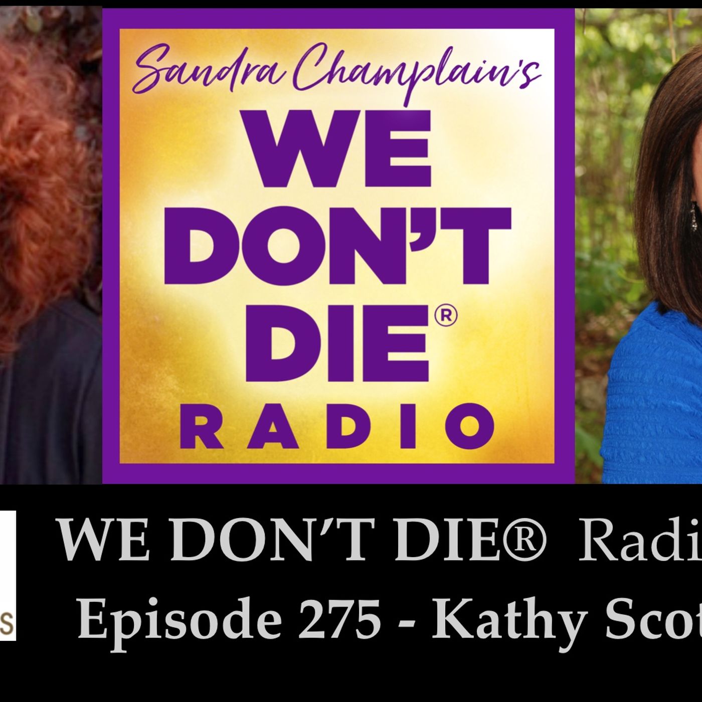 275  Kathy Scott Perry - From Catastrophic Loss to an Extraordinary Life