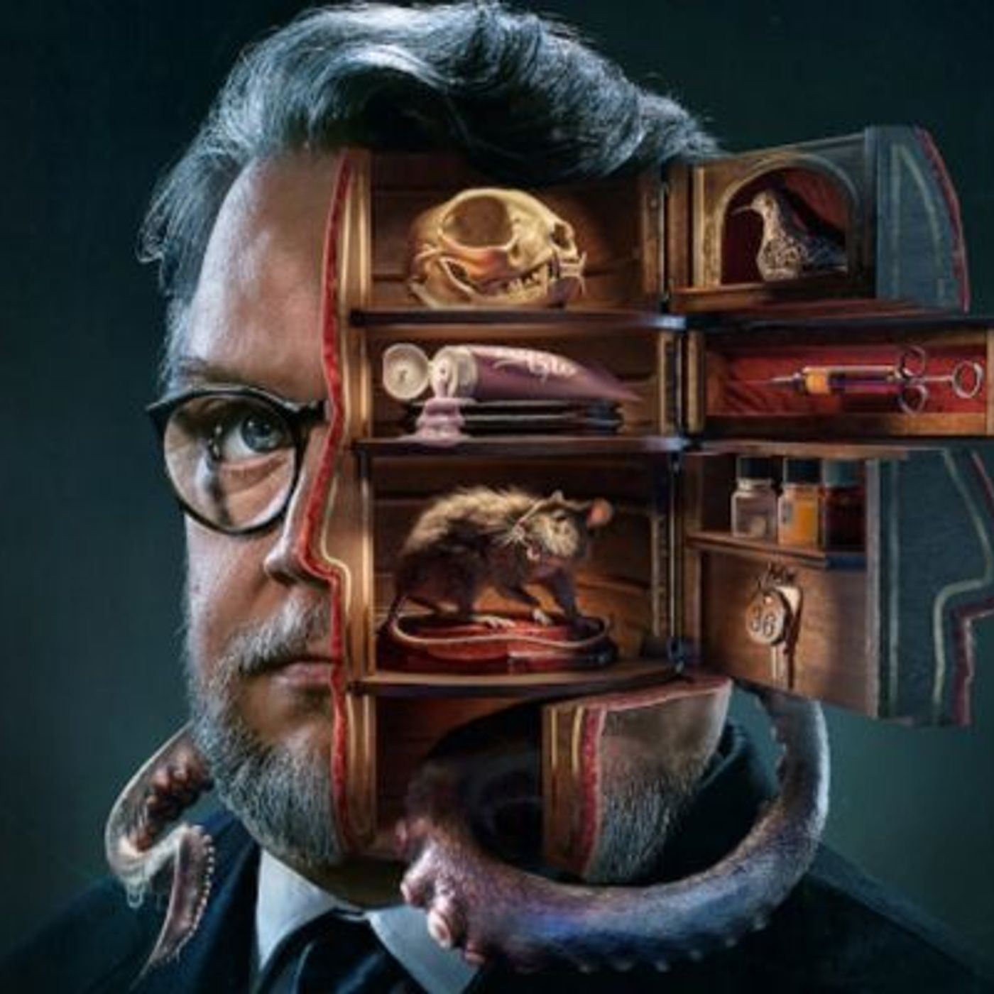"Le cabinet des curiosités" : la série horrifique de Guillermo de Toro est sur Netflix episode artwork