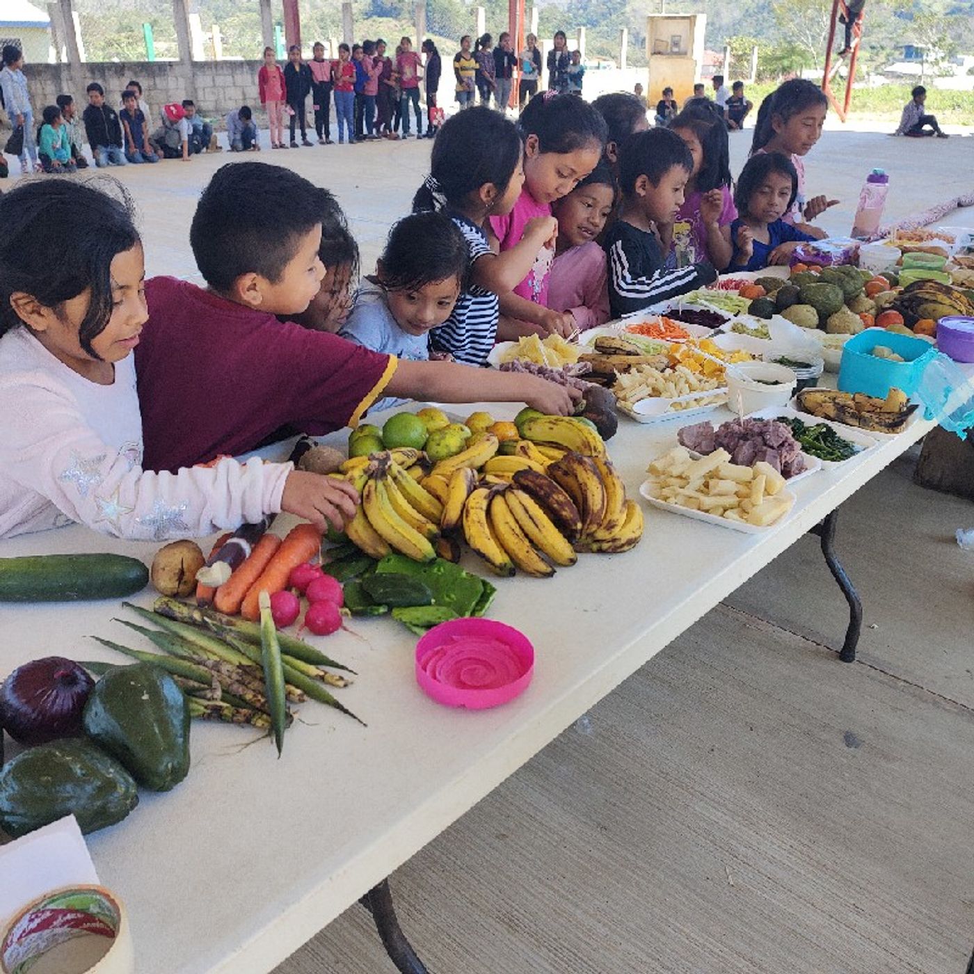 Episodio 4 El reto de la aplicación curricular en el salón de clases y la importancia de la formación docente.