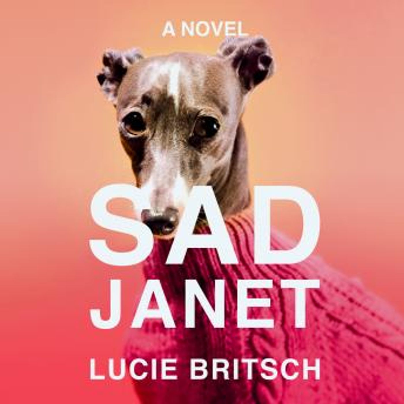 Sad Janet: A Novel by Lucie Britsch episode artwork