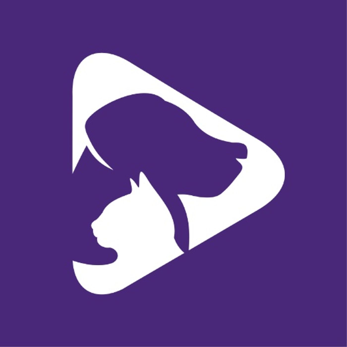 CleverTap: Startup & Tech Interviews