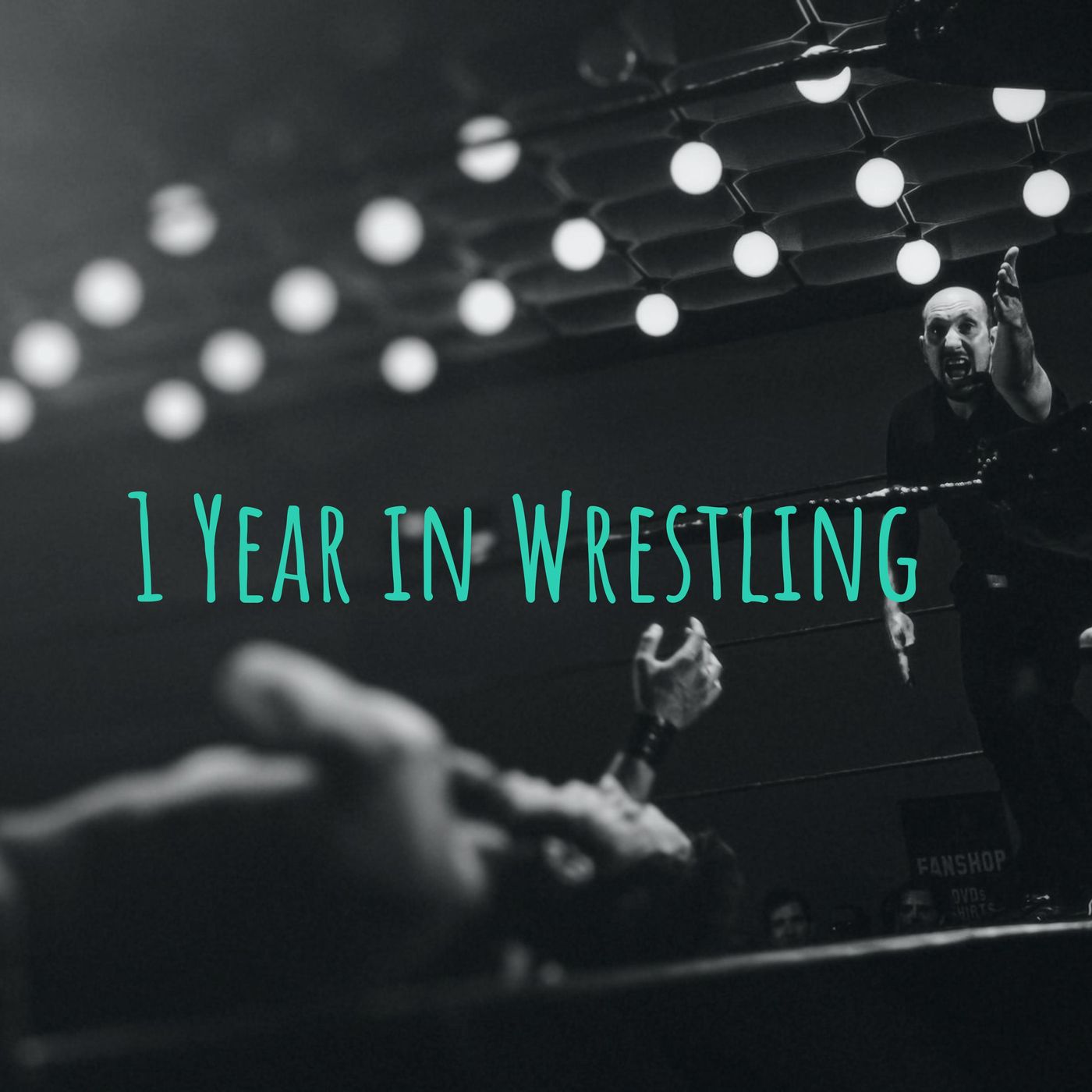 1 Year in Wrestling