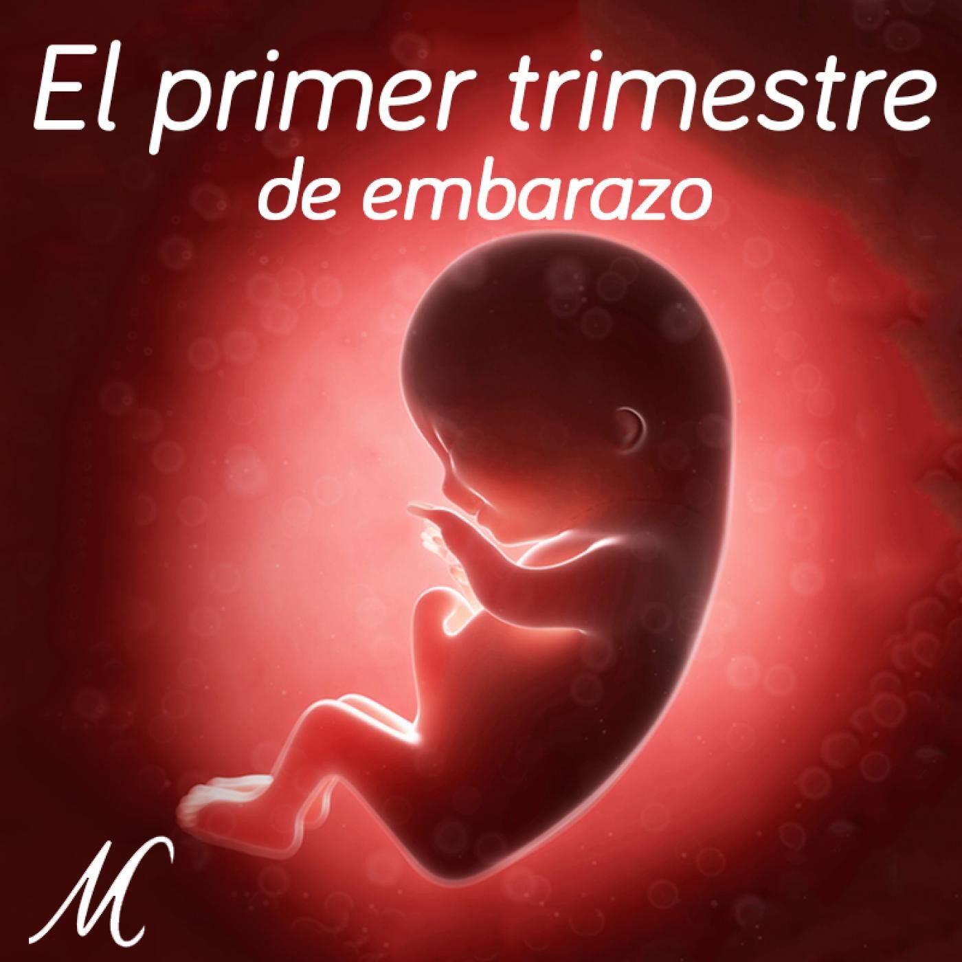 Portada de Nadie como mamá
