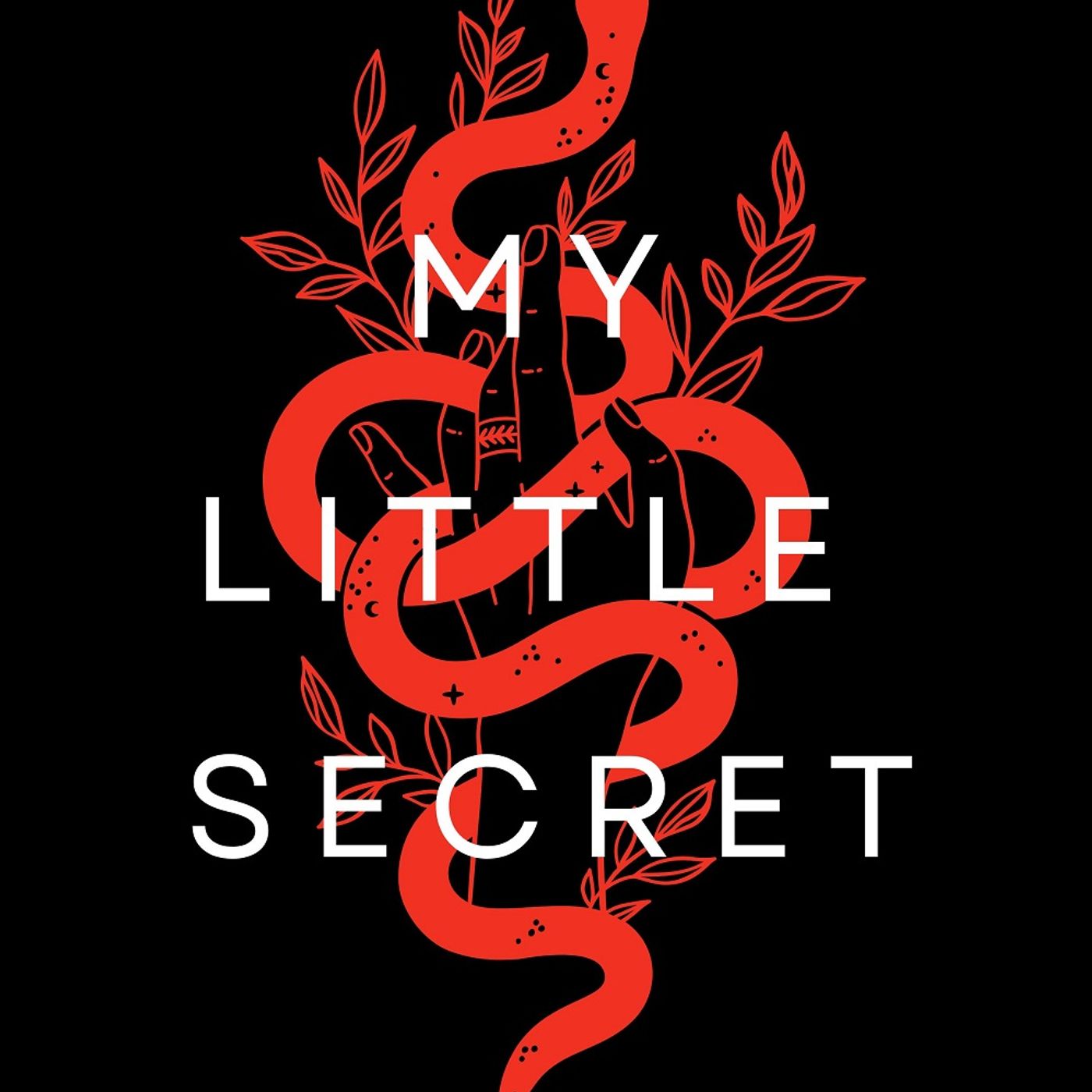 The door I never opened (Marcella Boccia) — My little secret cover
