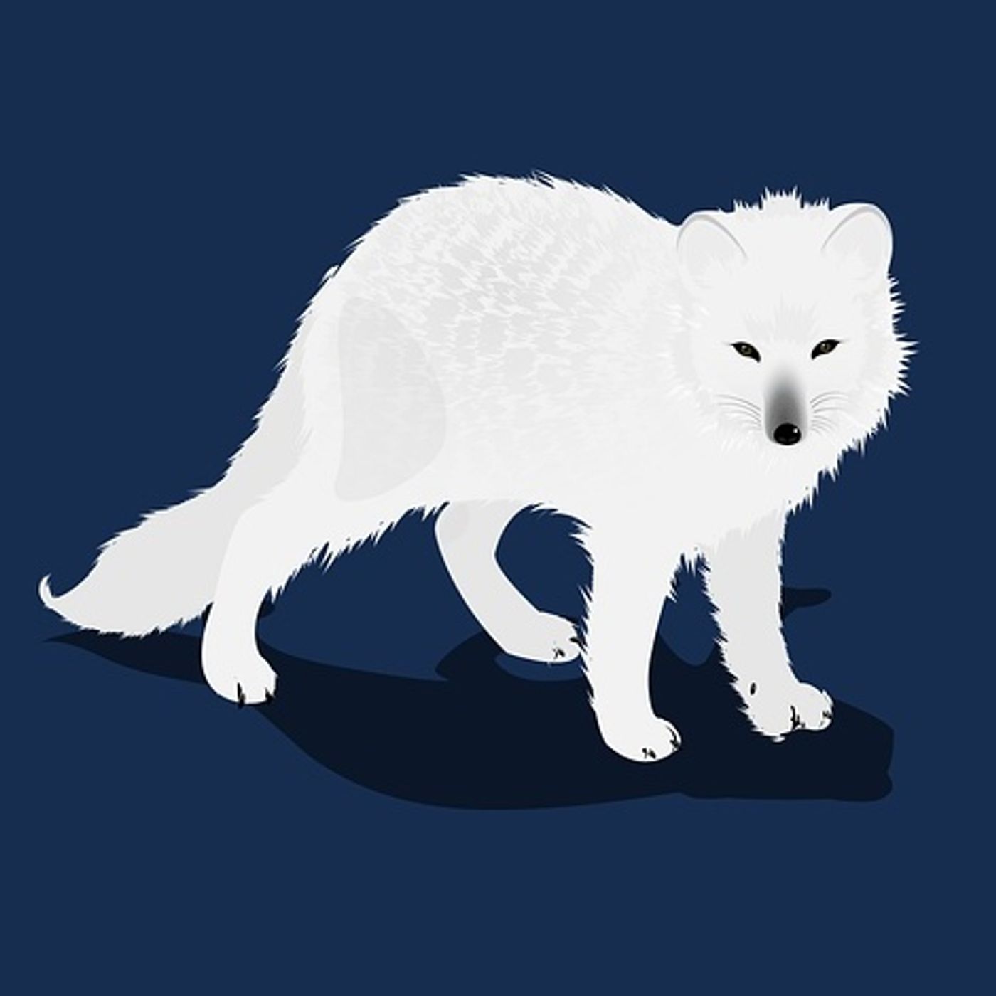Pip de Poolvos | Verhaaltjes Over Arctische Dieren episode artwork