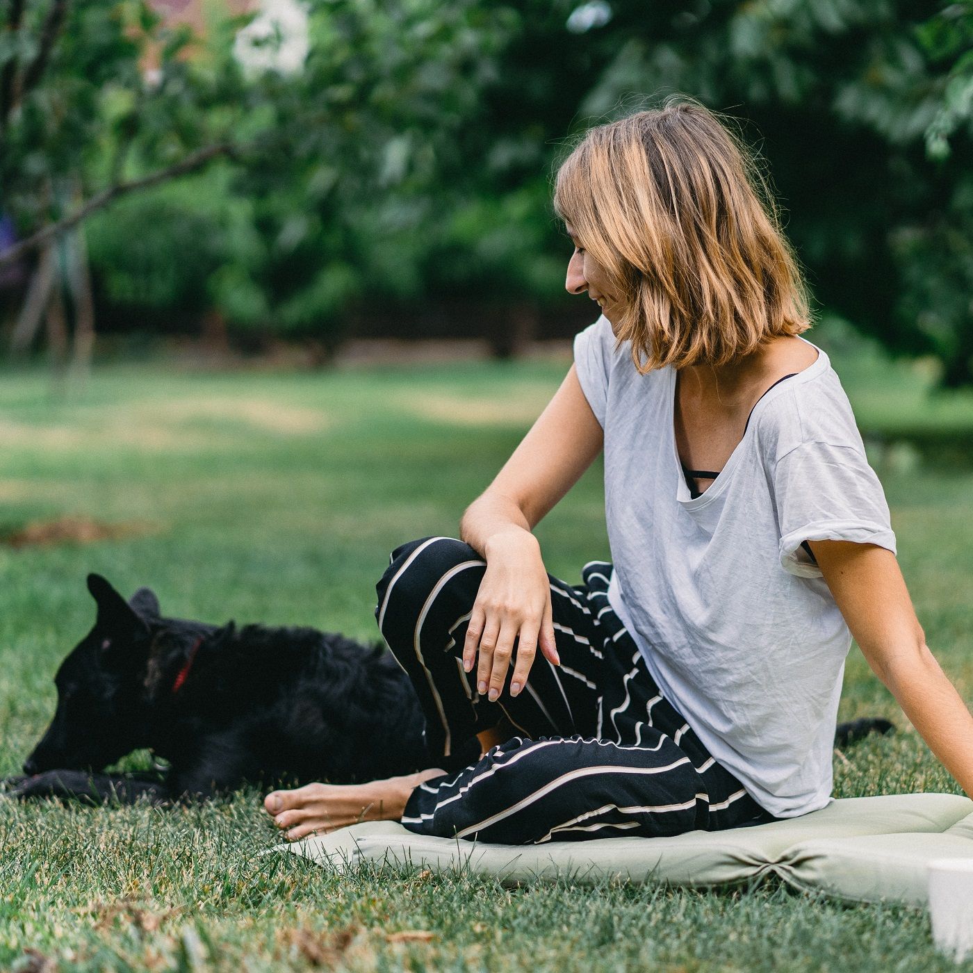 Canine Instincts