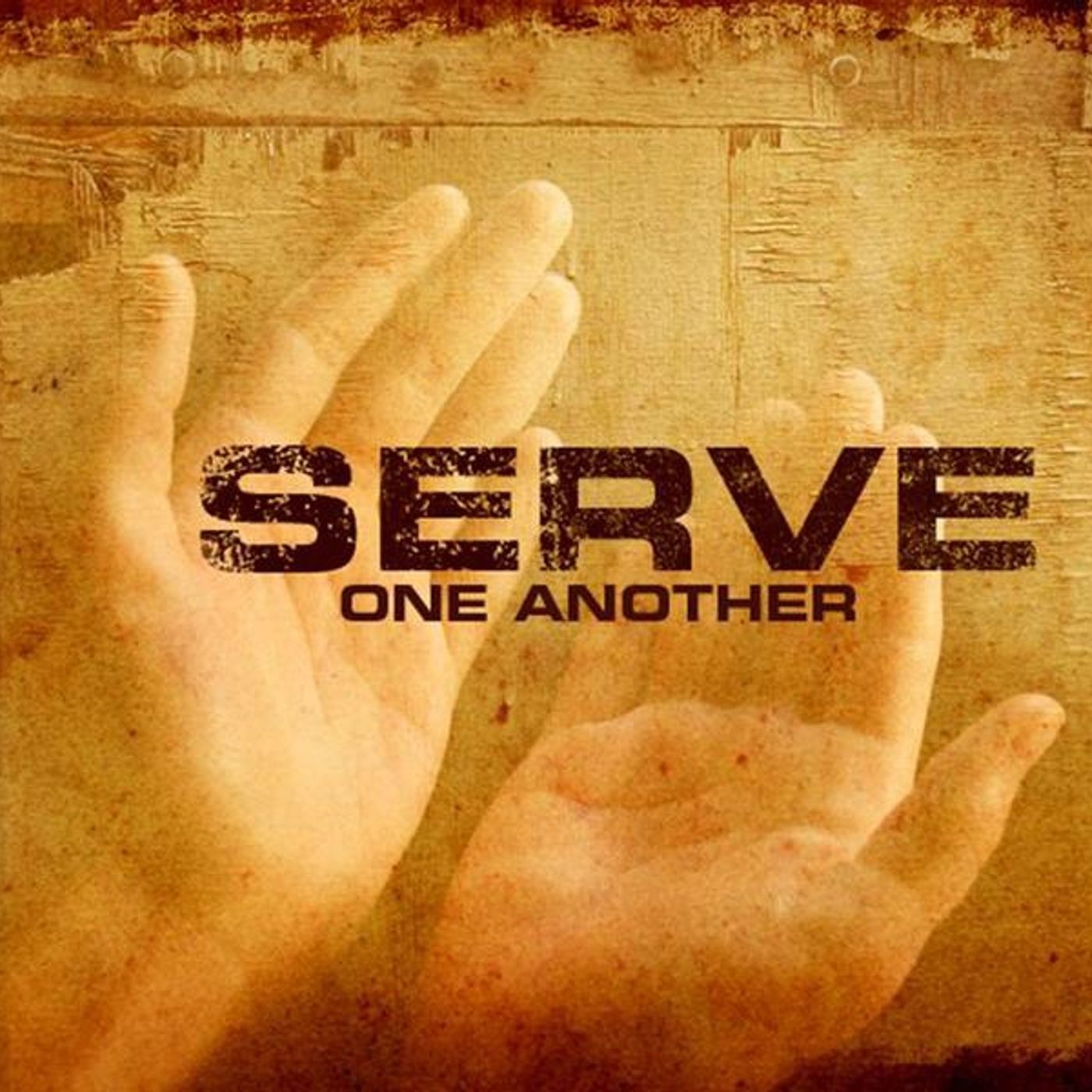 Seek To Serve episode artwork