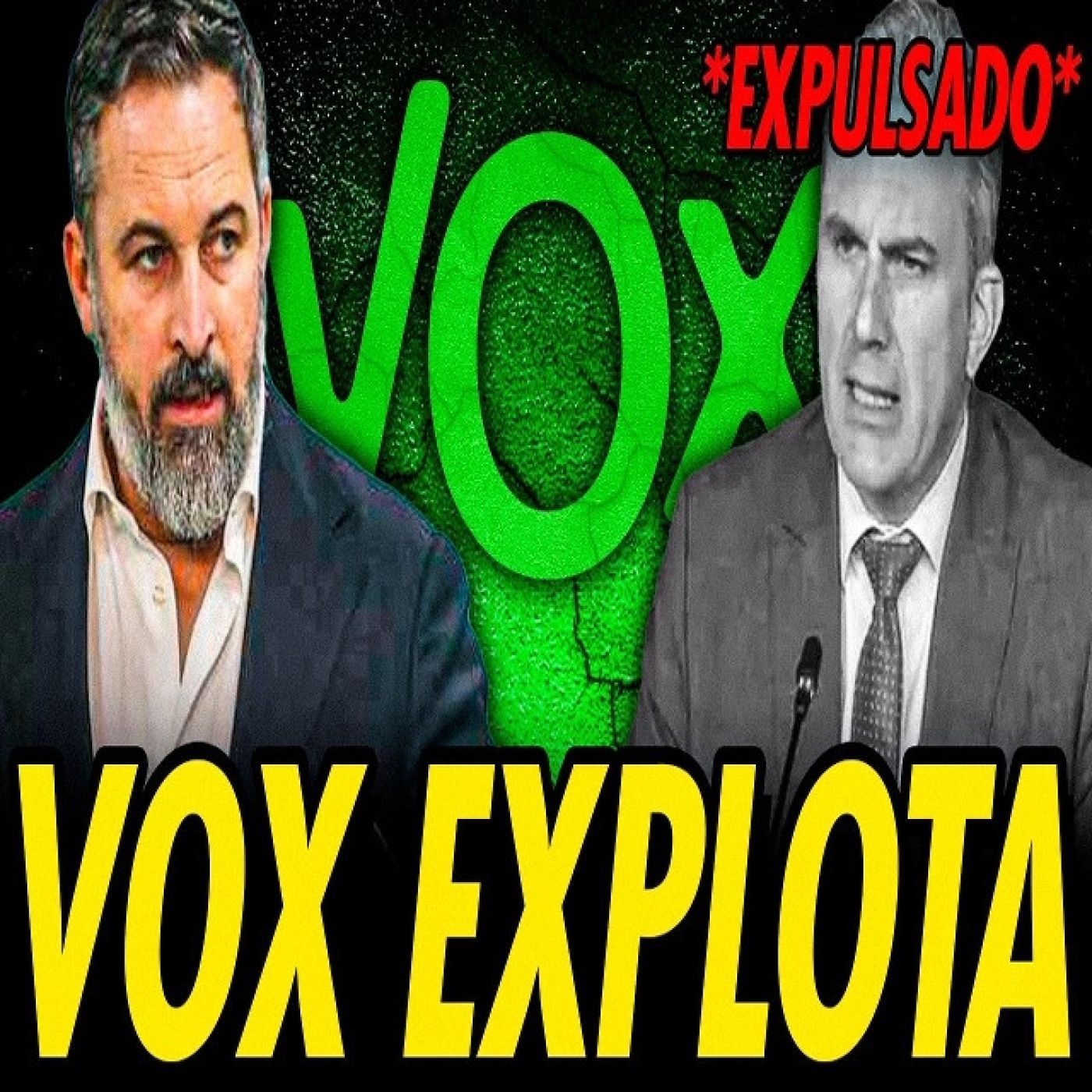 VOX EXPLOTA EN MADRID. EXPULSAN A ORTEGA SMITH, CARLA TOSCANO Y EL PRIMER AFILIADO DEL PARTIDO episode artwork