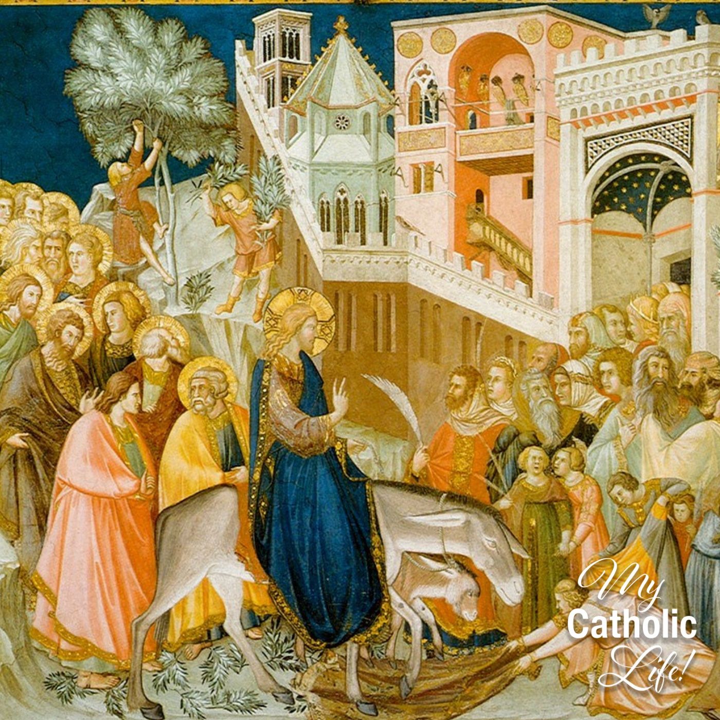 Palm Sunday of the Lord’s Passion—Solemnity episode artwork