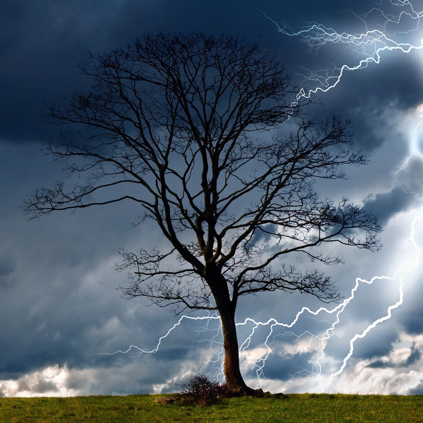 9/29/24 - Sun AM - The Necessity Of Storms - Pastor Jeff Crawley episode artwork