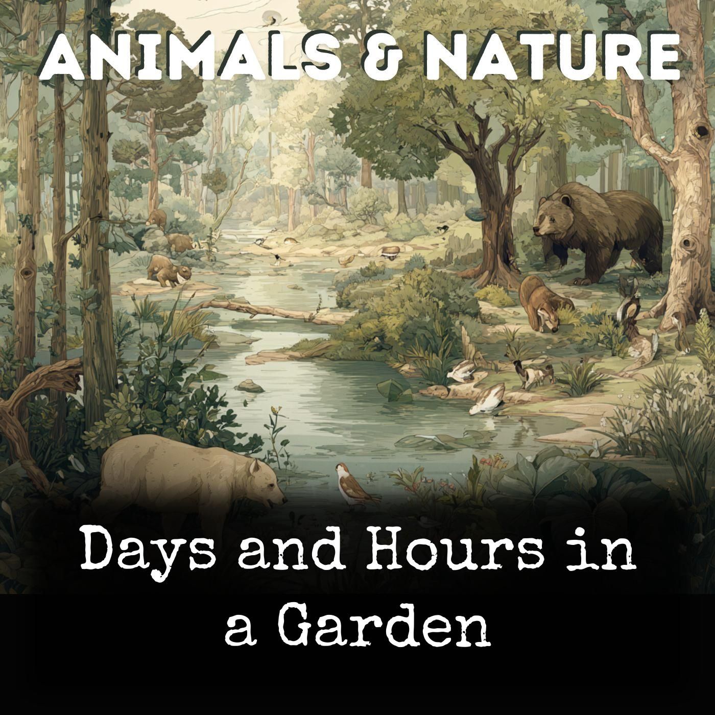 Days and Hours in a Garden cover art